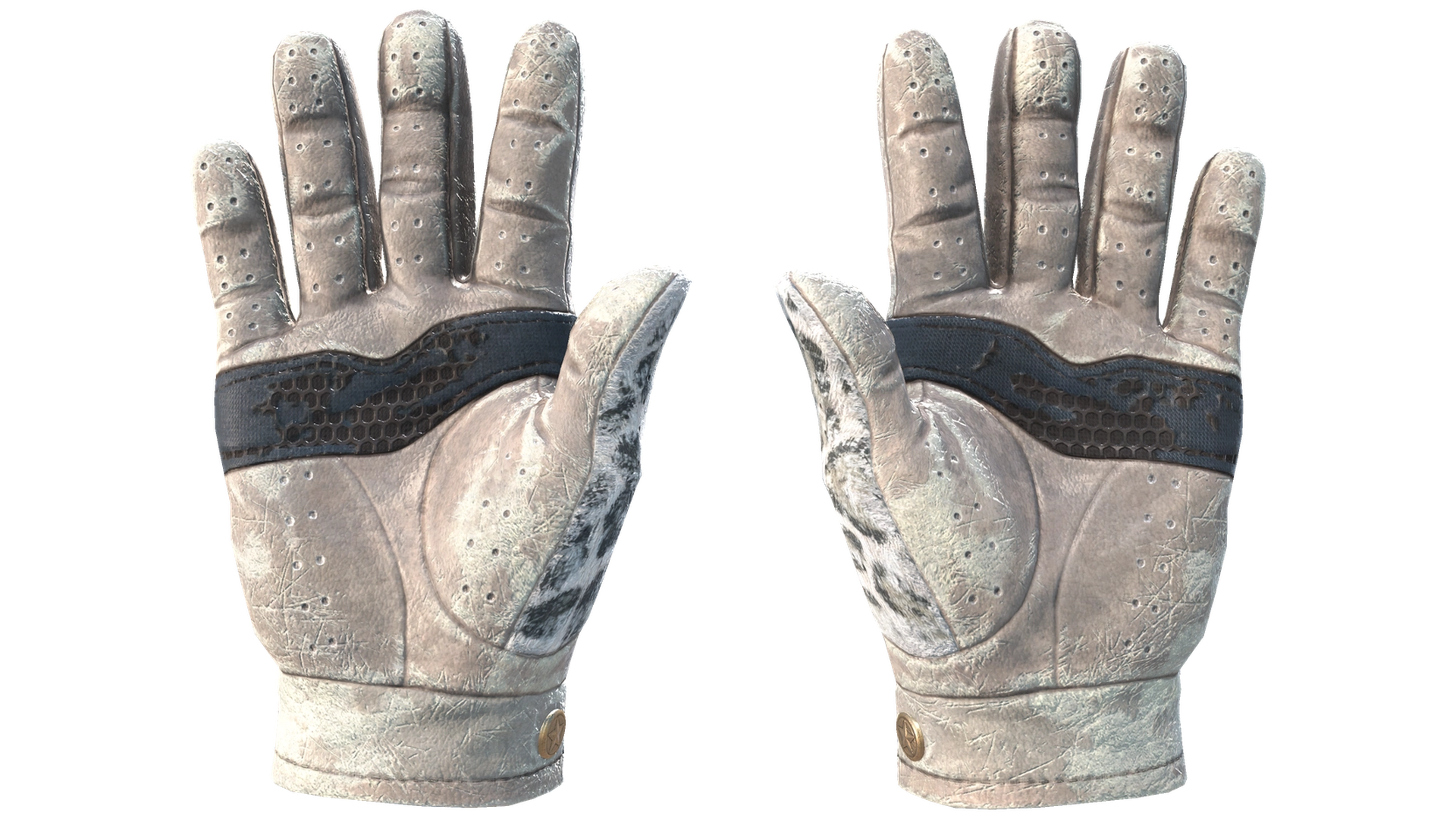 Snow Leopard image