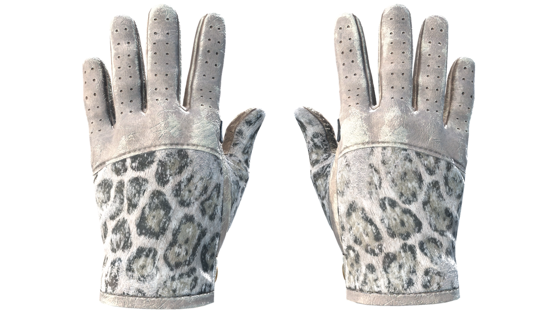 Snow Leopard image