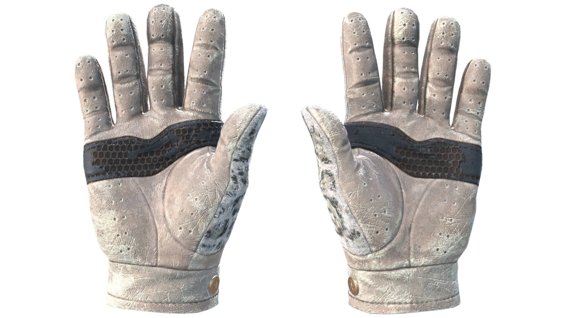 Snow Leopard image