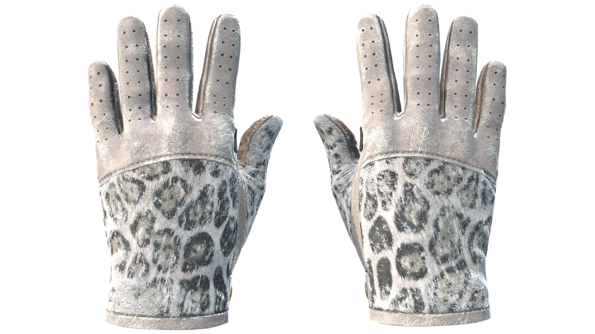 Snow Leopard image