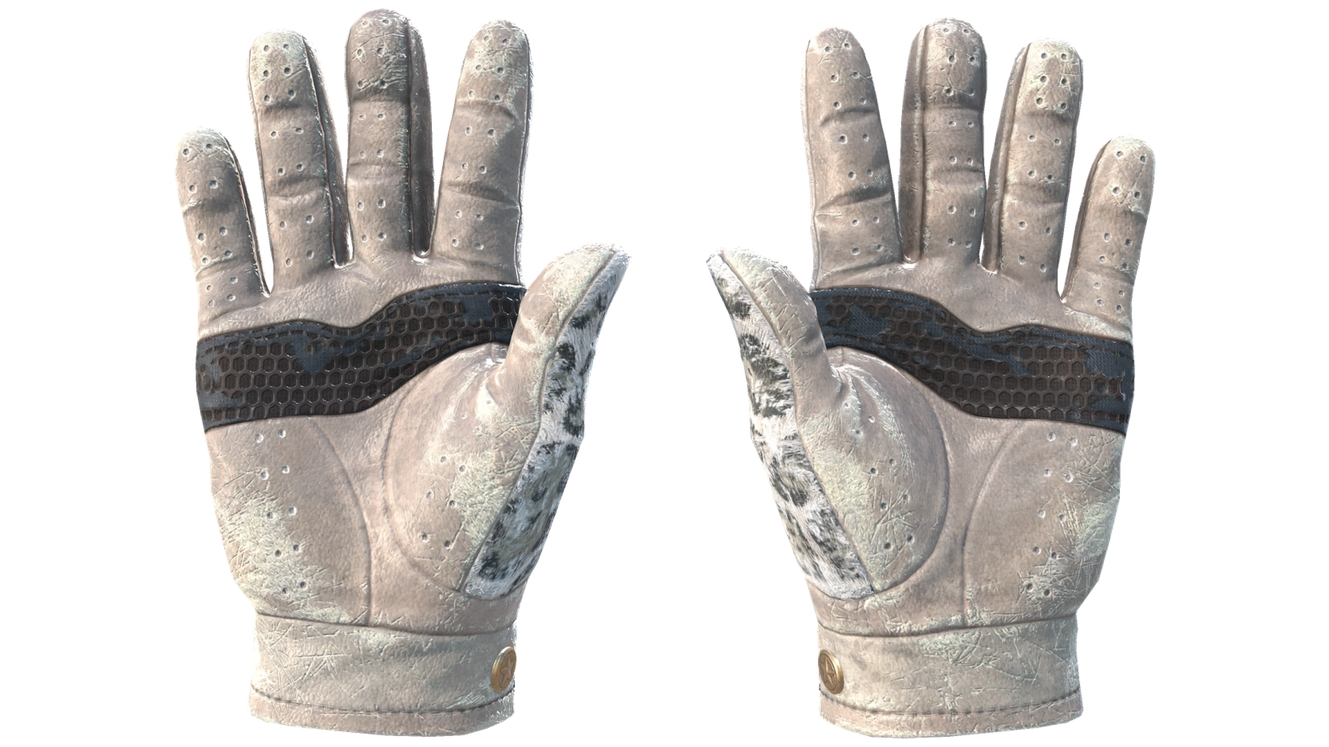 Snow Leopard image