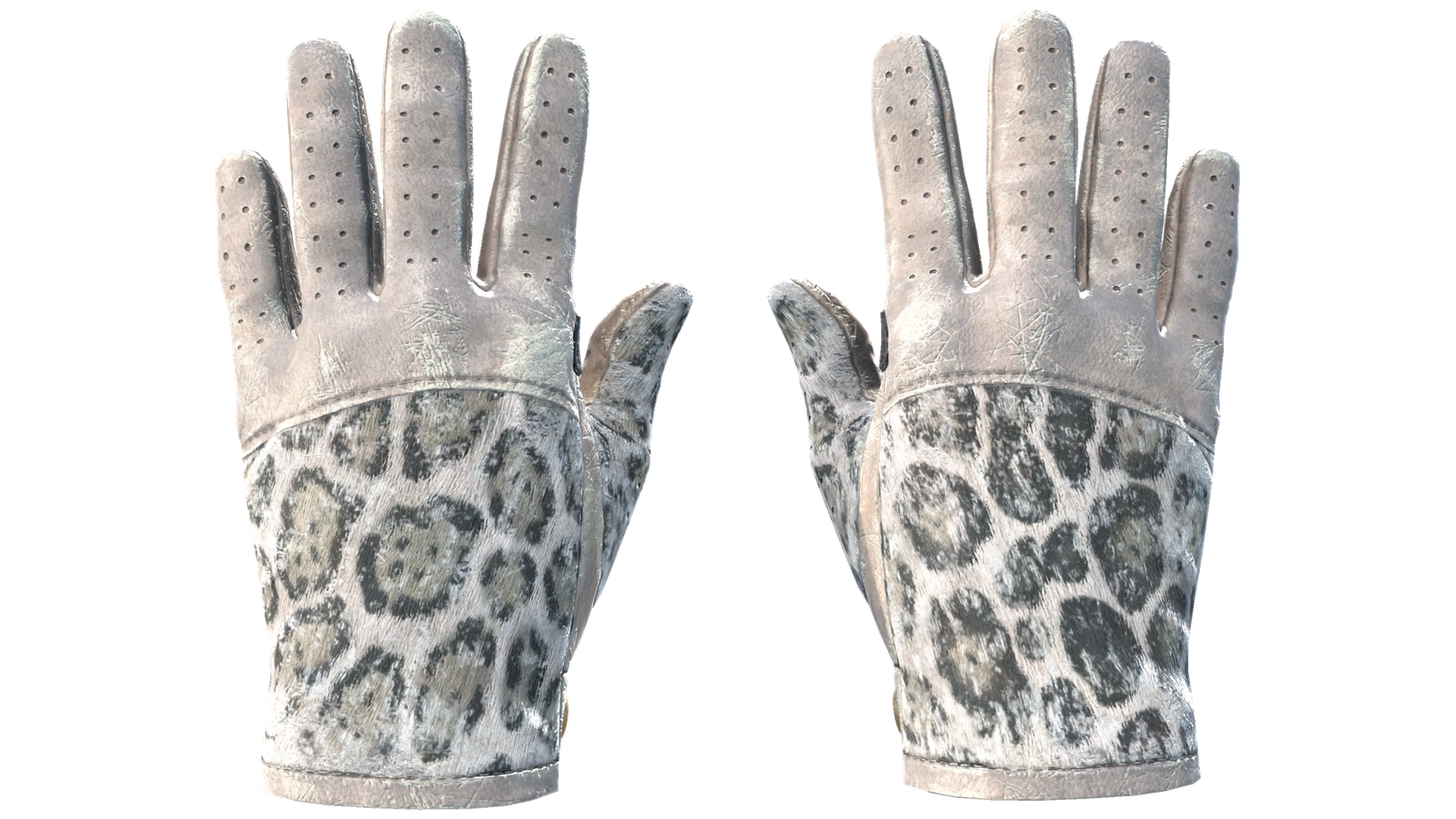Snow Leopard image
