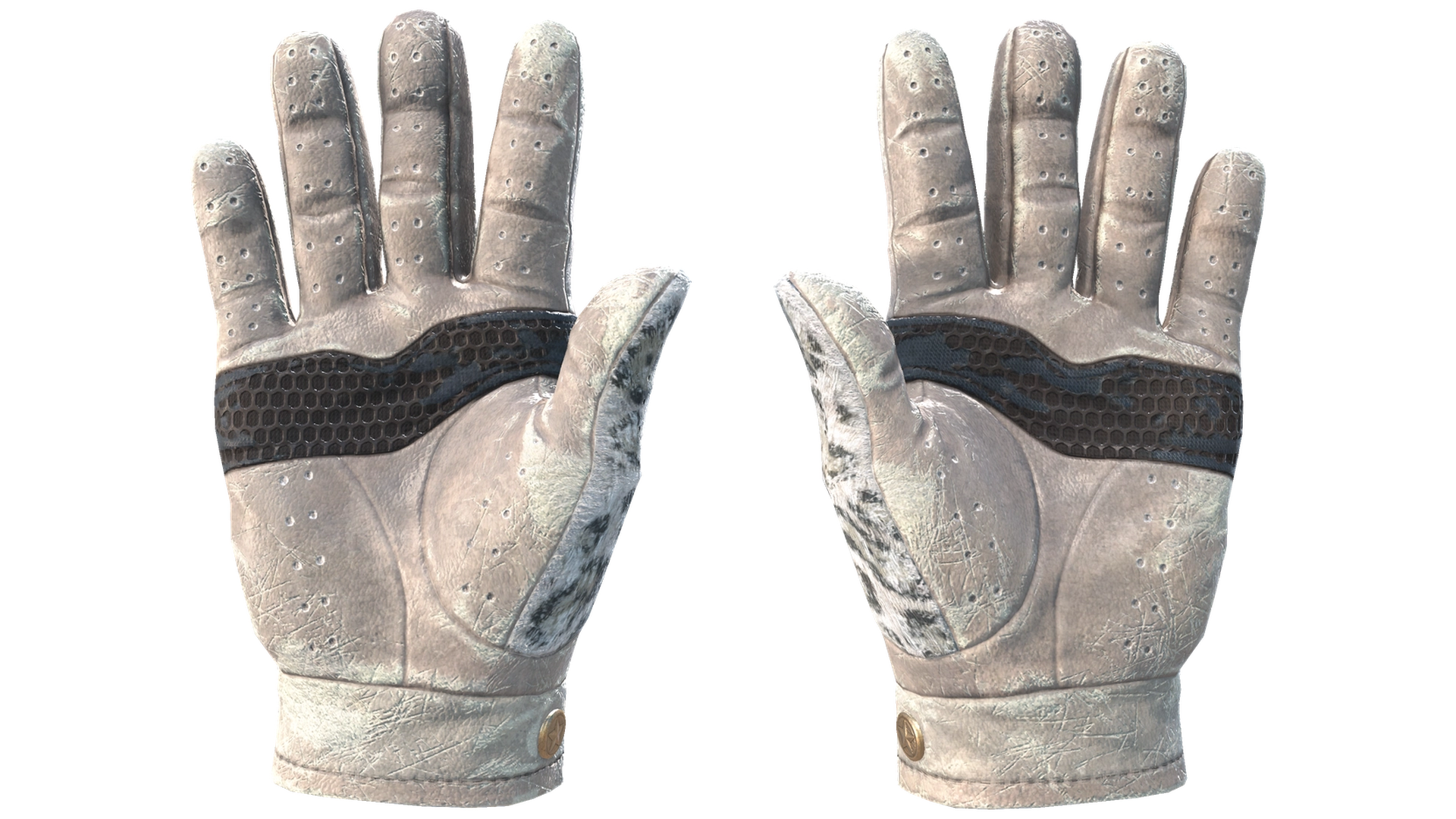 Snow Leopard image