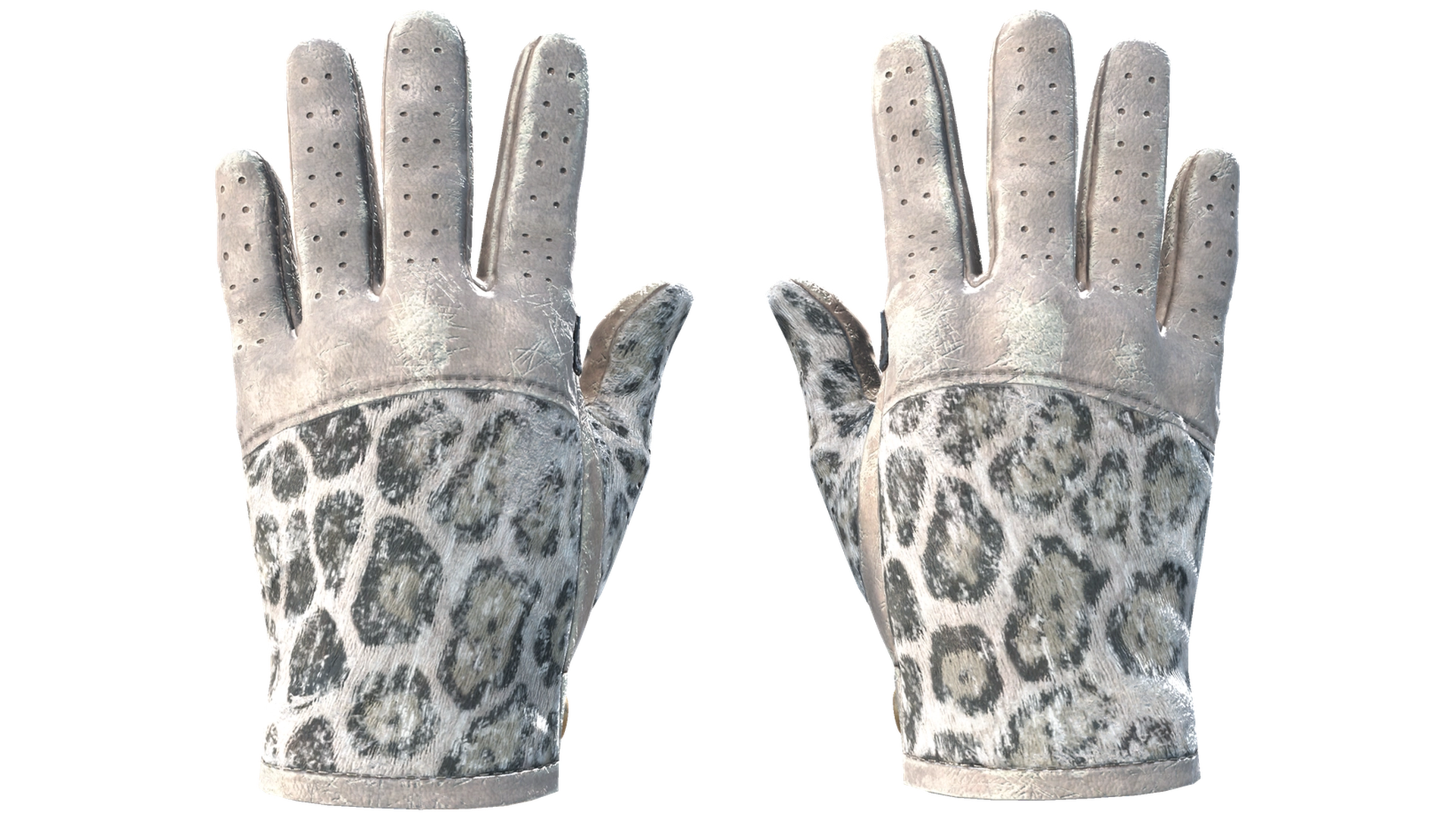 Snow Leopard image