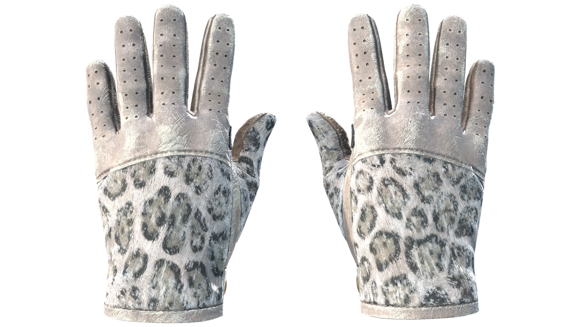 Snow Leopard image
