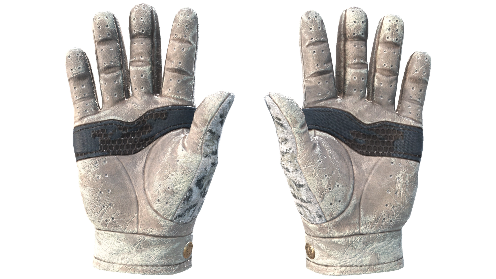 Snow Leopard image
