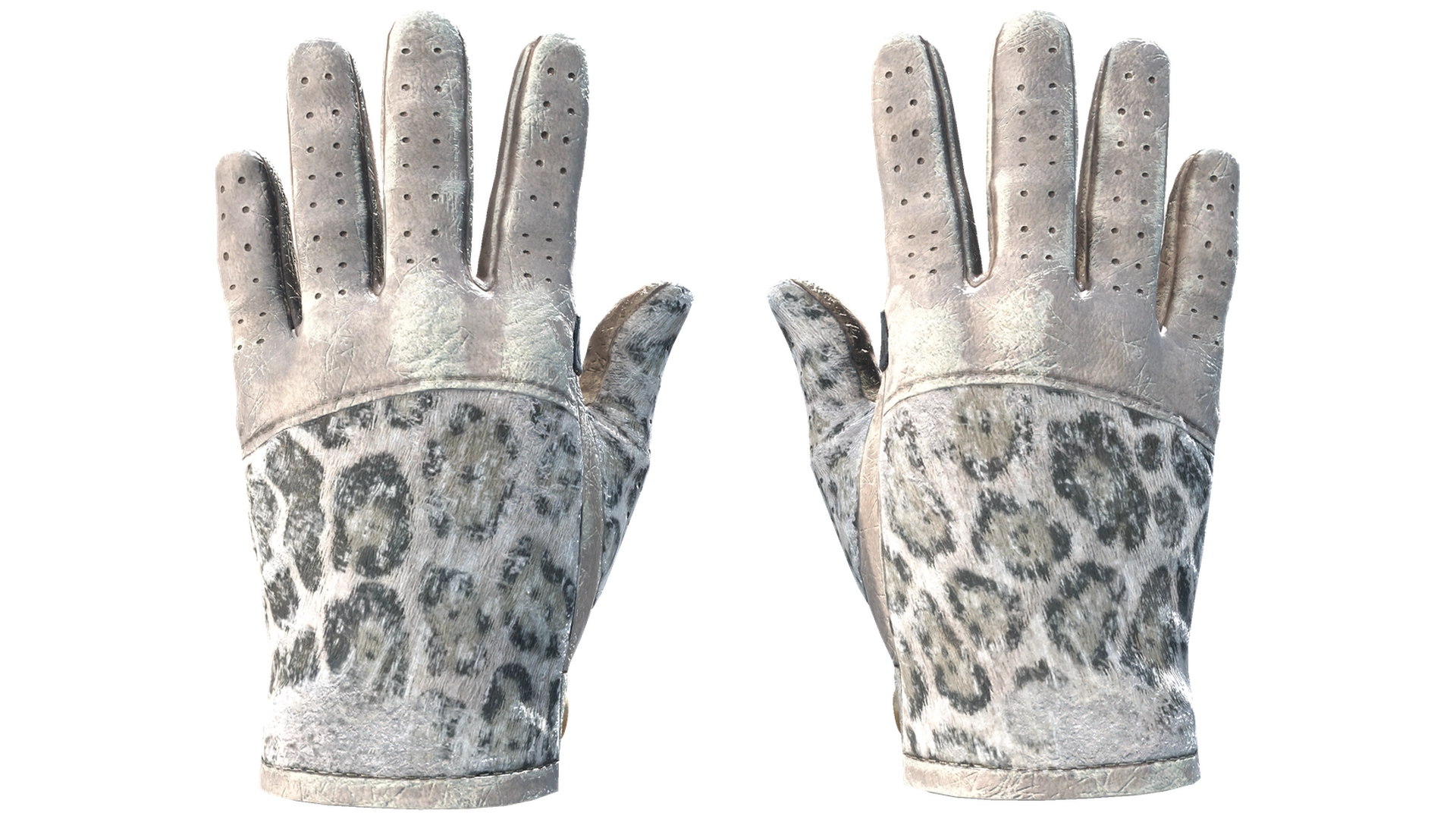Snow Leopard image