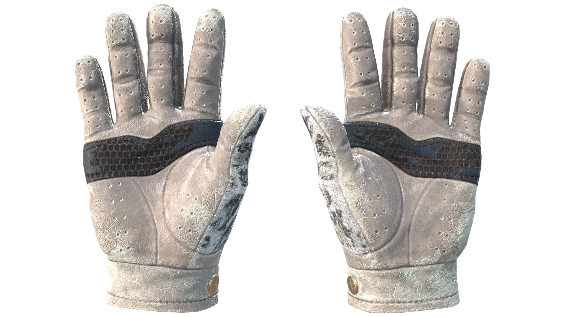Snow Leopard image