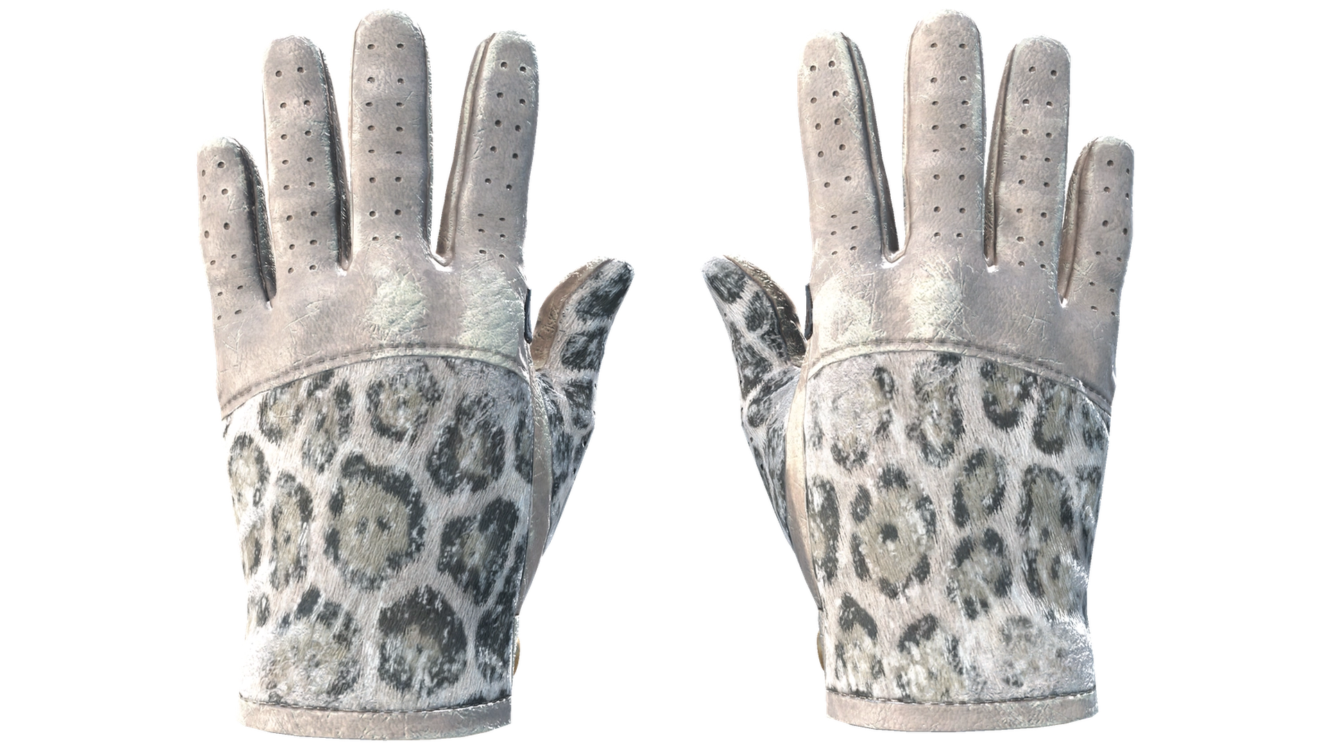 Snow Leopard image