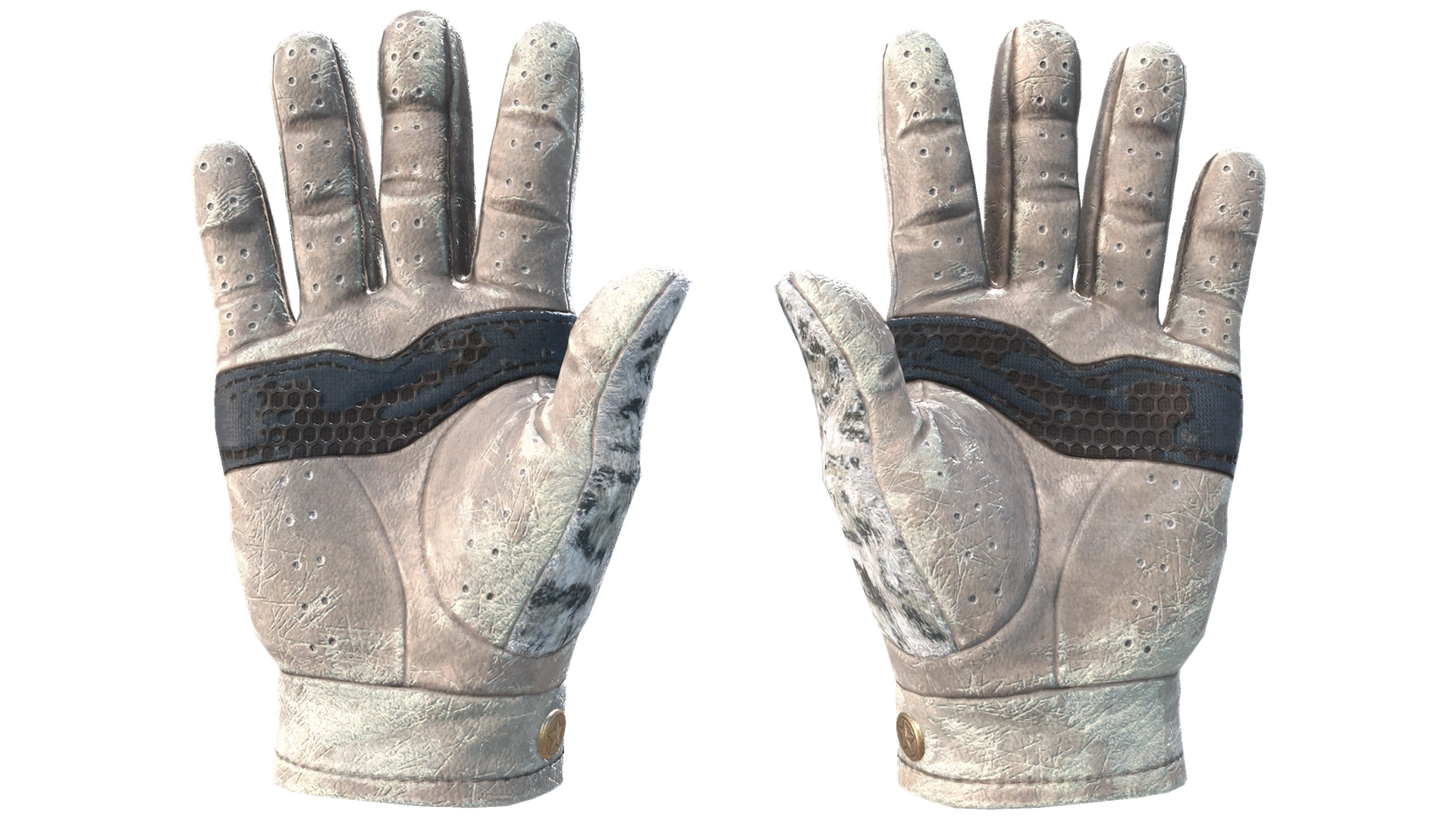 Snow Leopard image