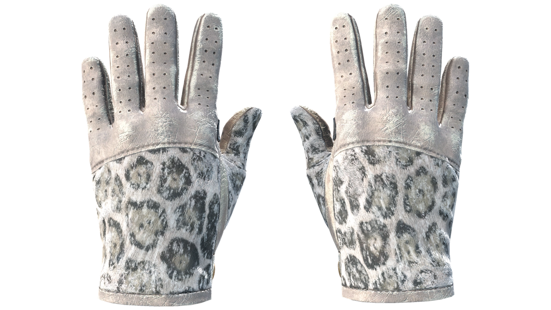 Snow Leopard image