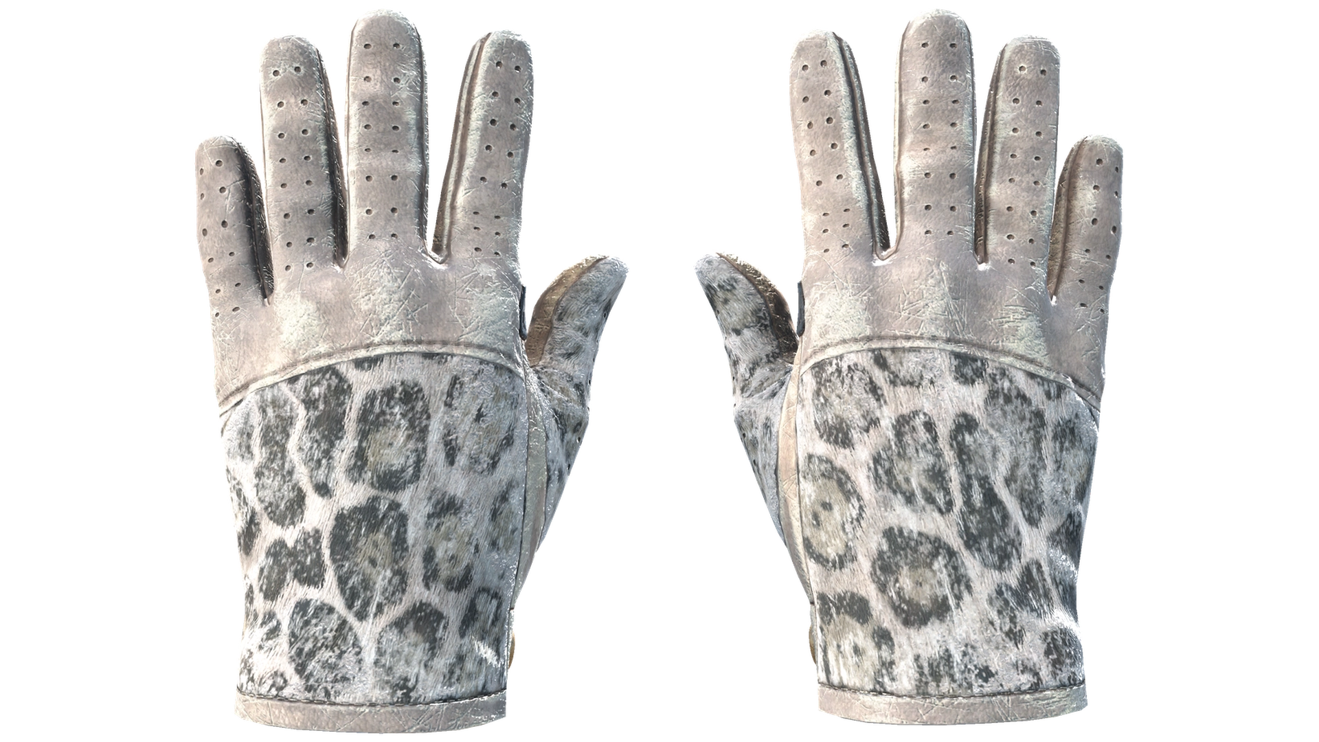 Snow Leopard image