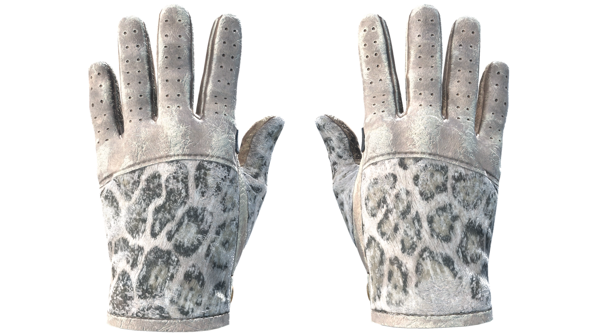 Snow Leopard image
