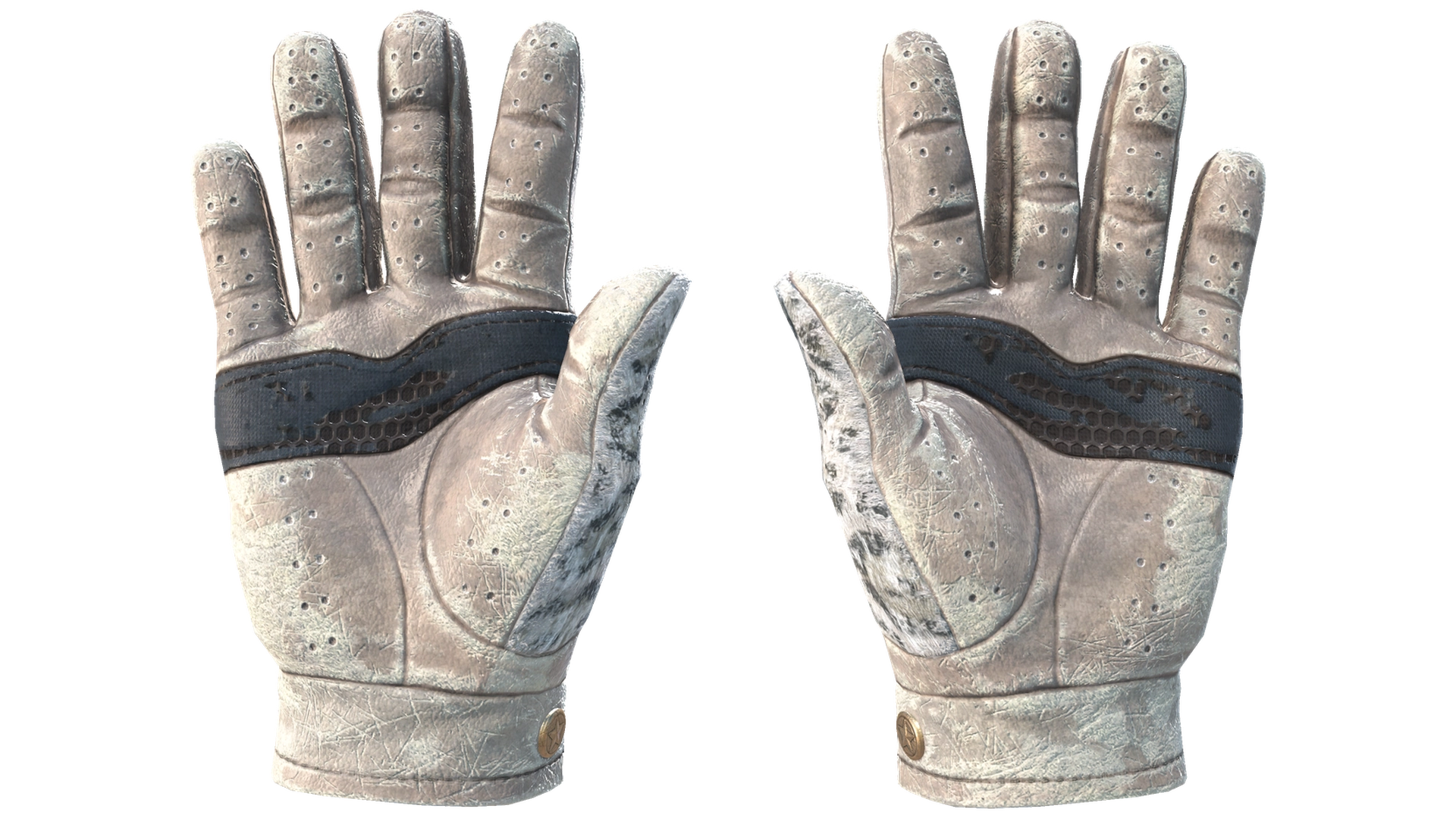 Snow Leopard image
