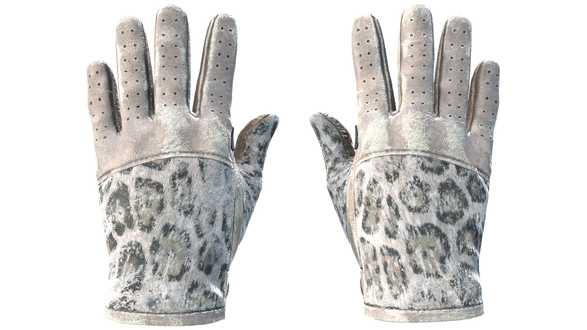 Snow Leopard image