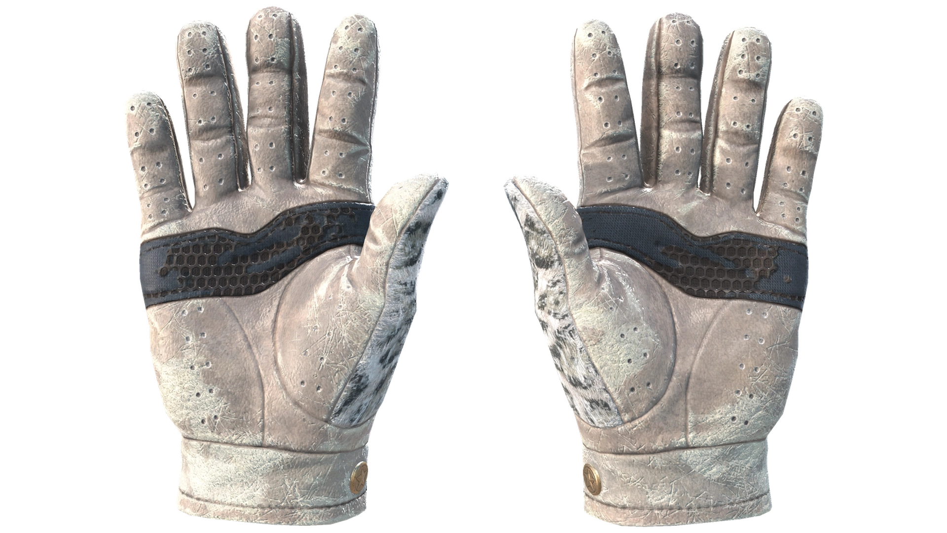 Snow Leopard image