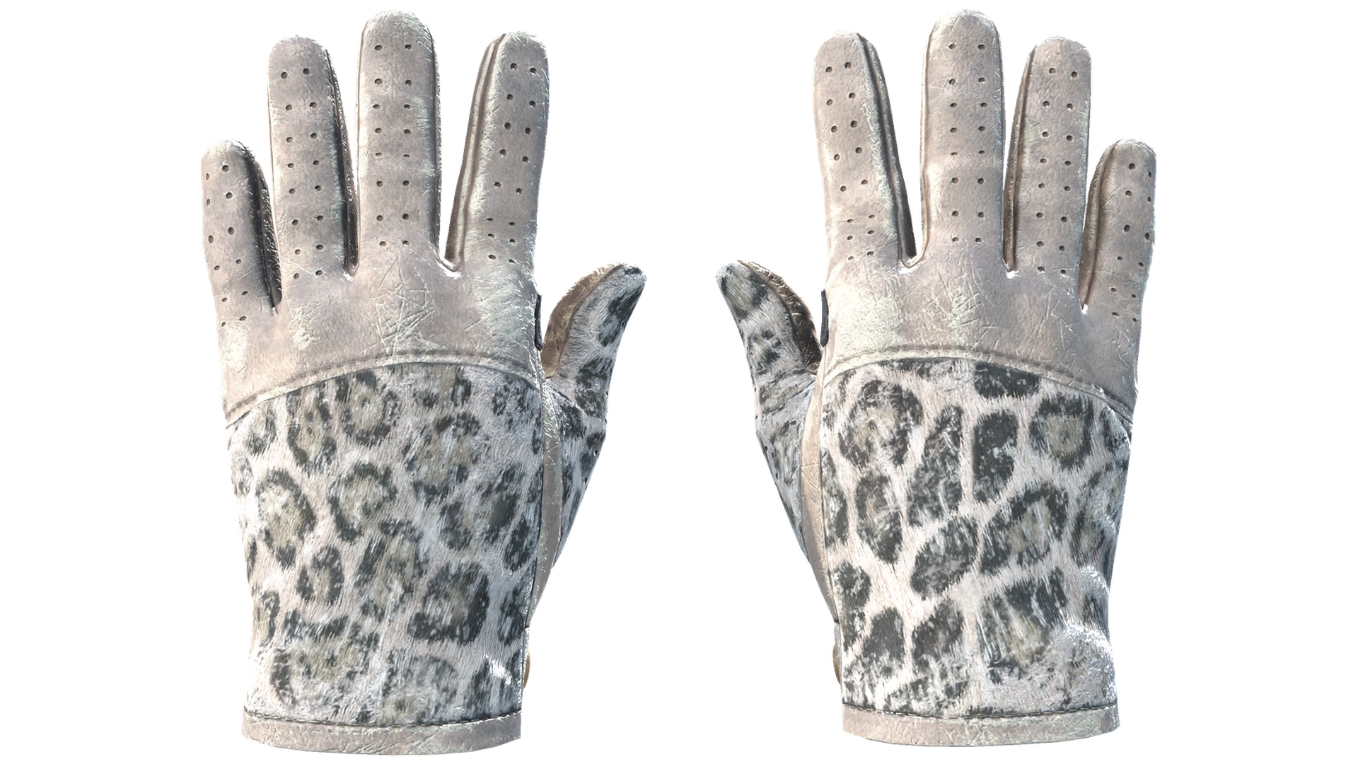 Snow Leopard image