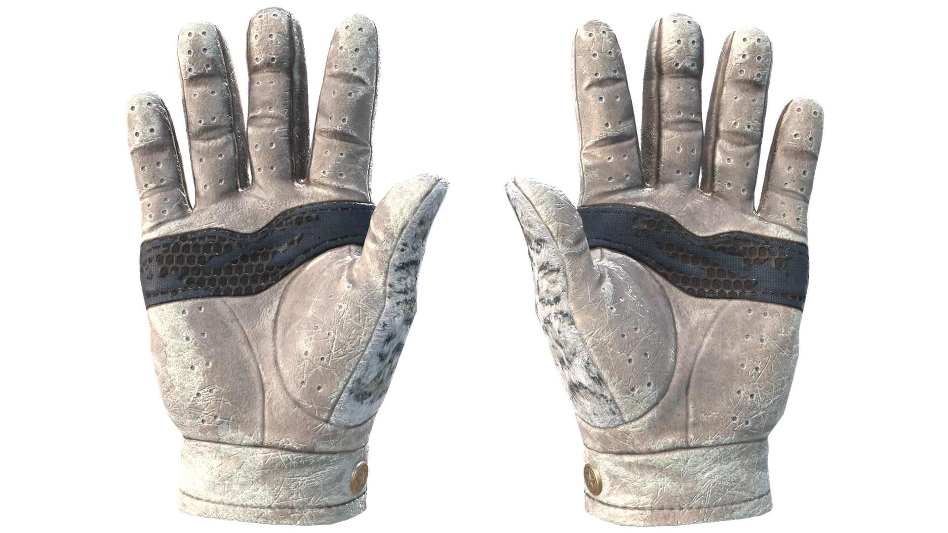 Snow Leopard image