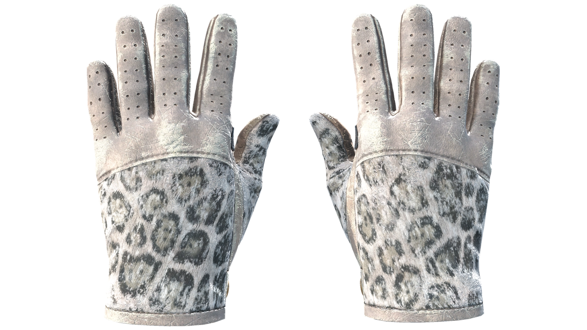 Snow Leopard image