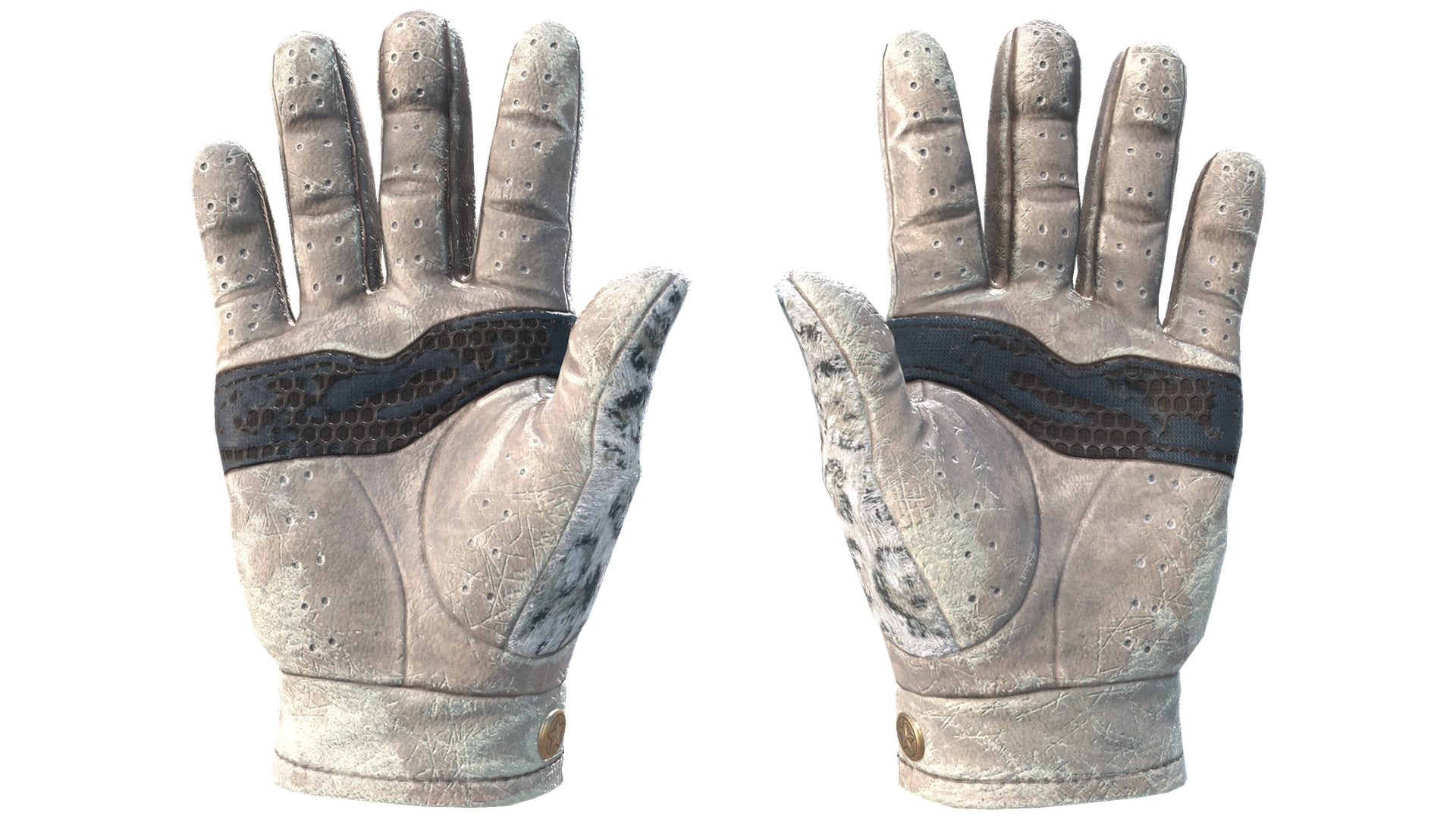 Snow Leopard image