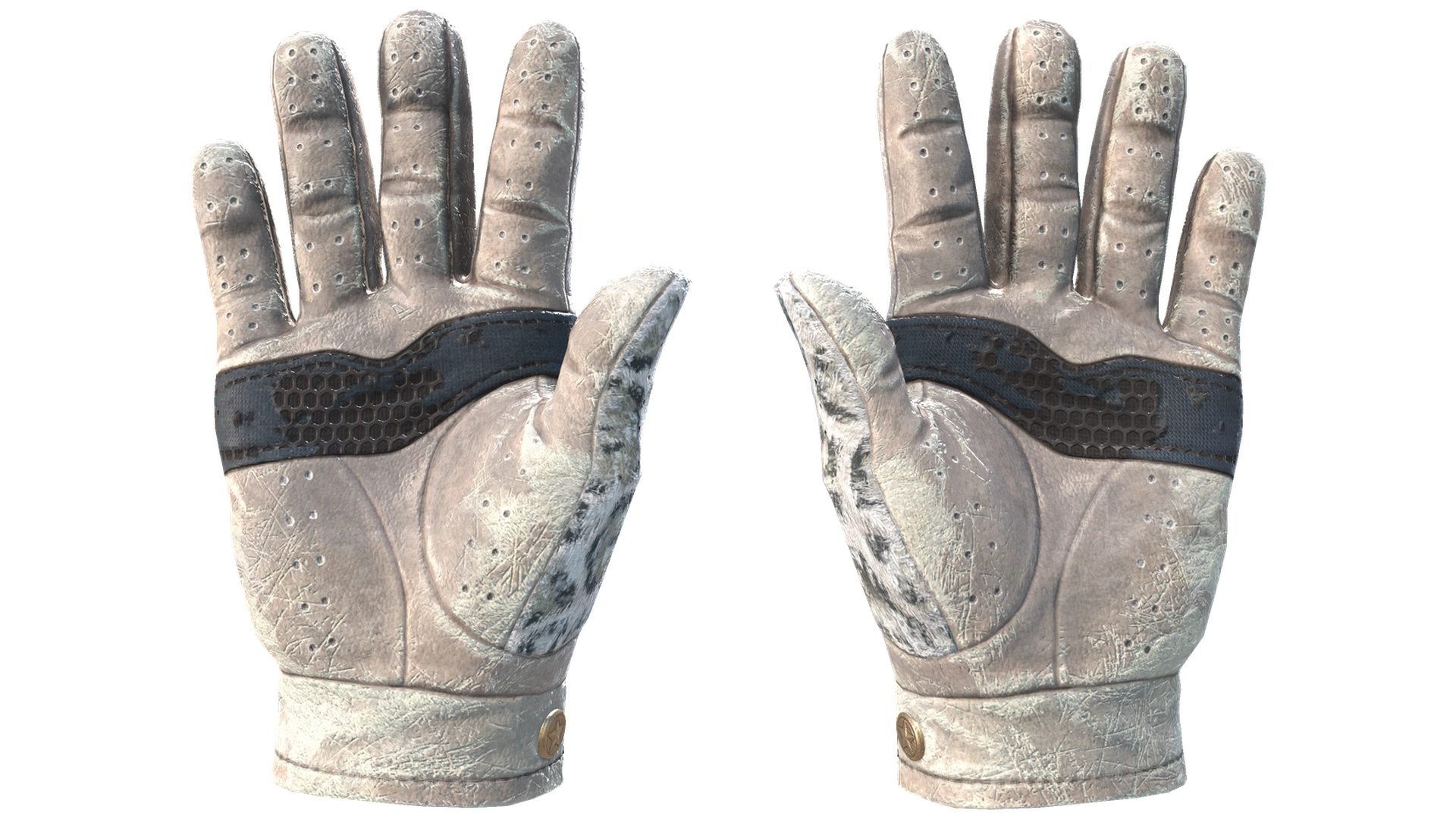 Snow Leopard image