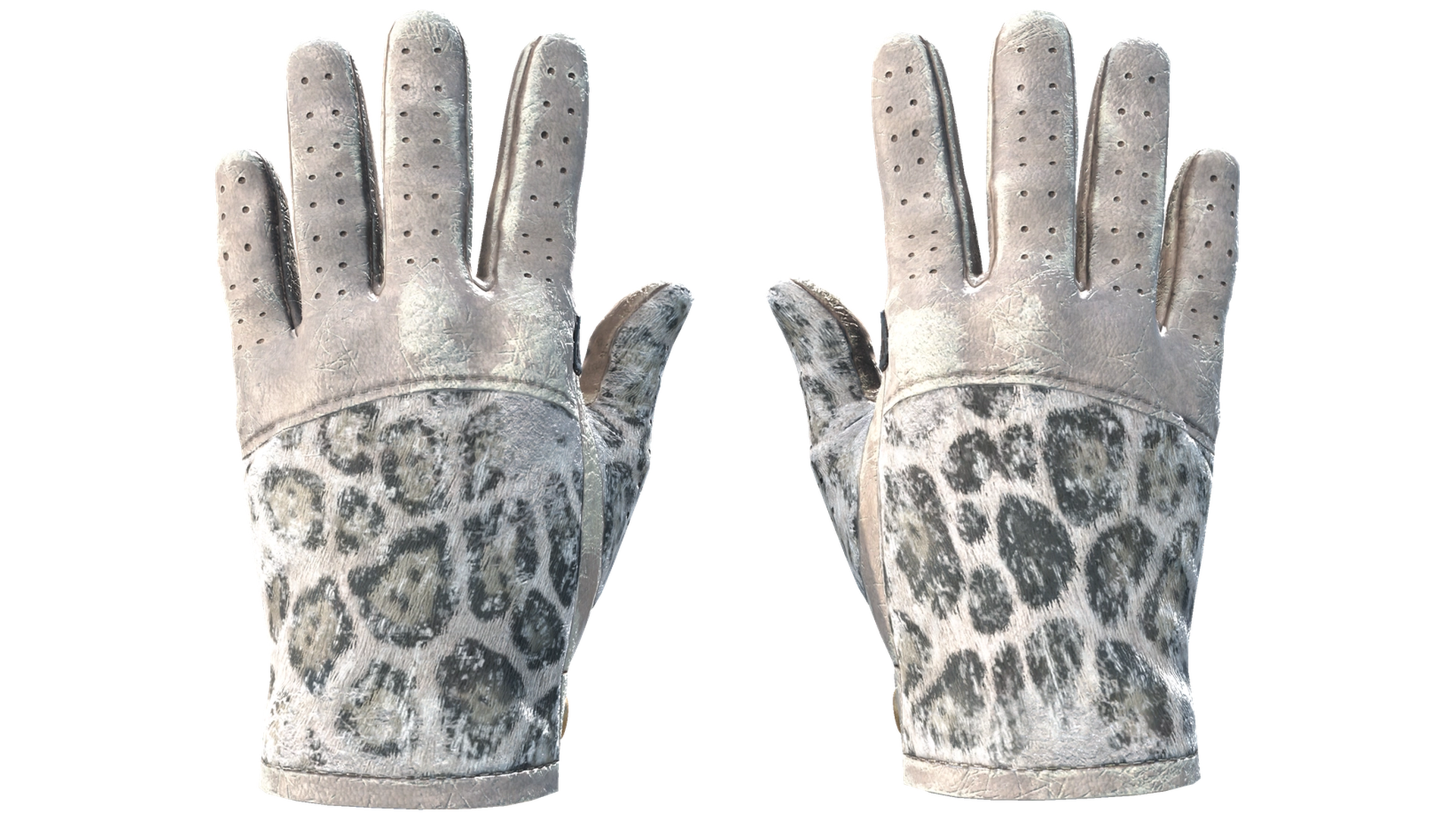 Snow Leopard image