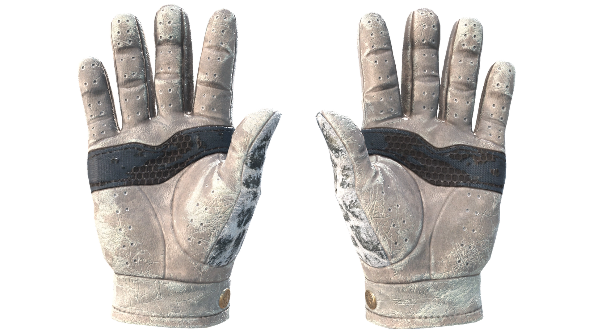 Snow Leopard image