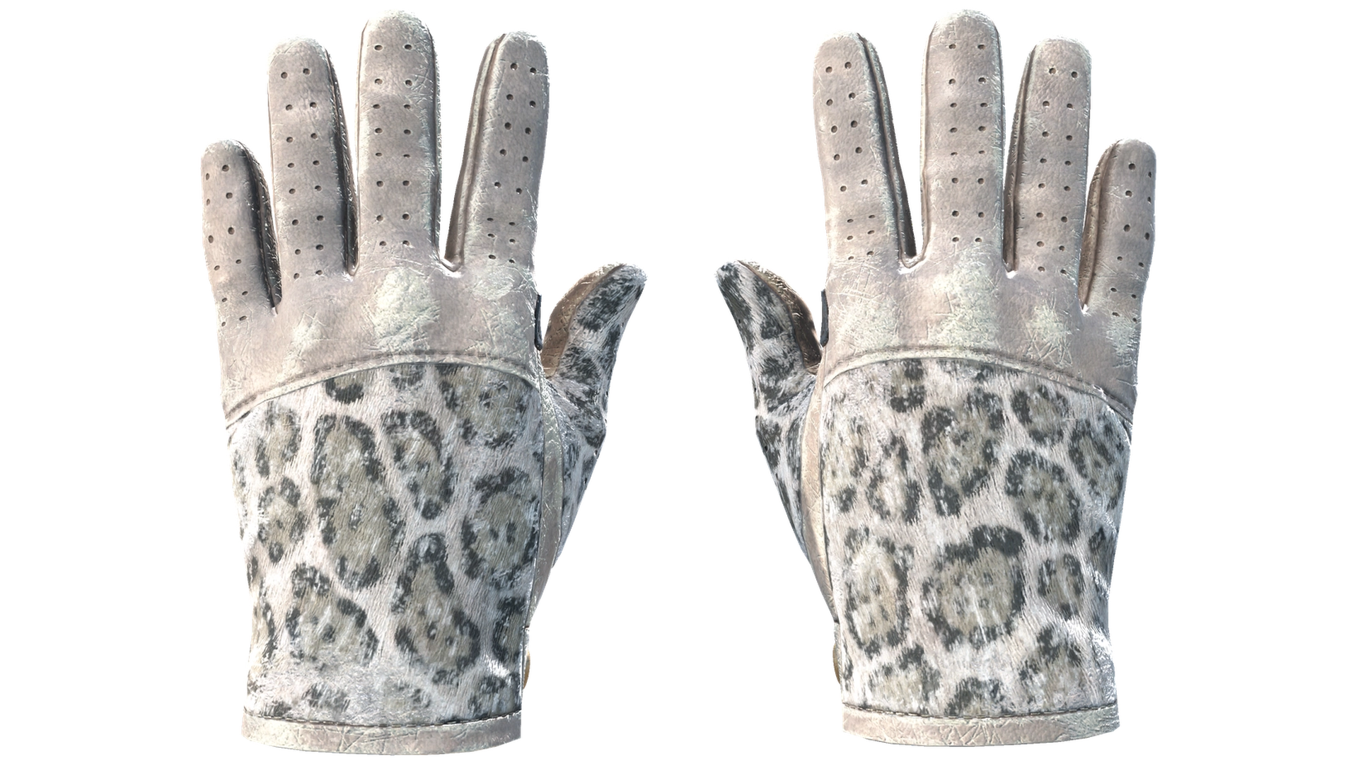 Snow Leopard image