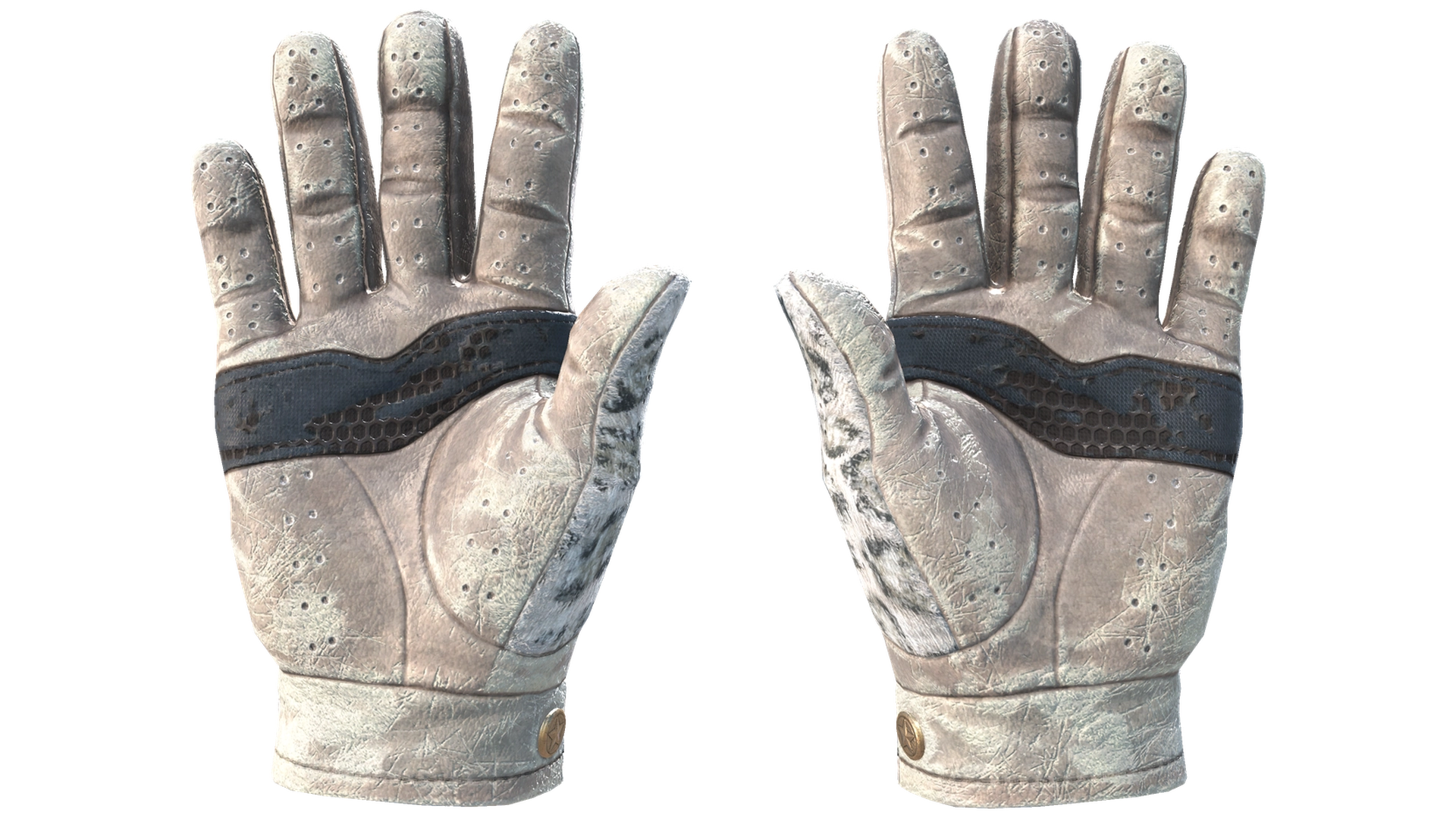 Snow Leopard image