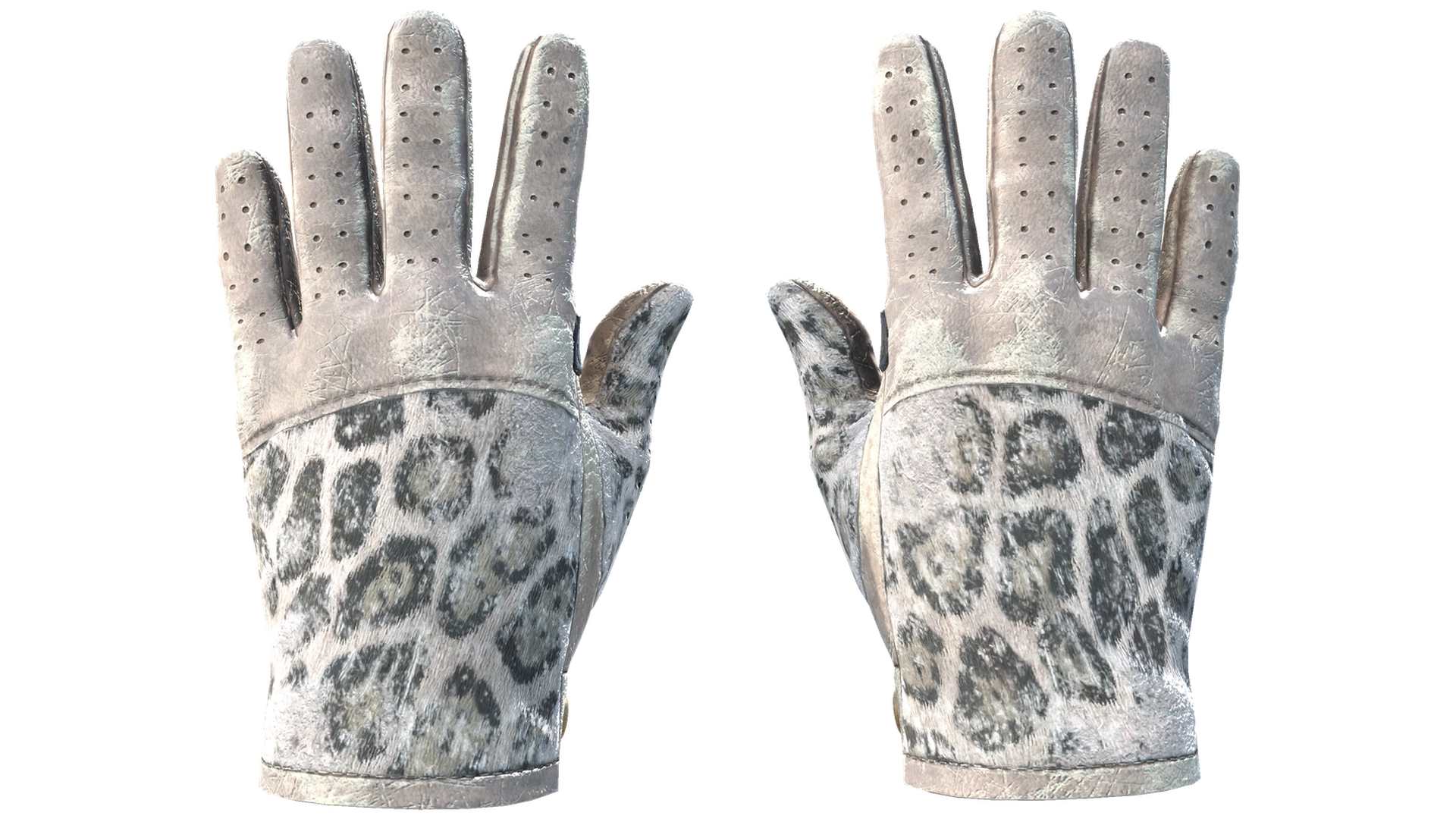 Snow Leopard image