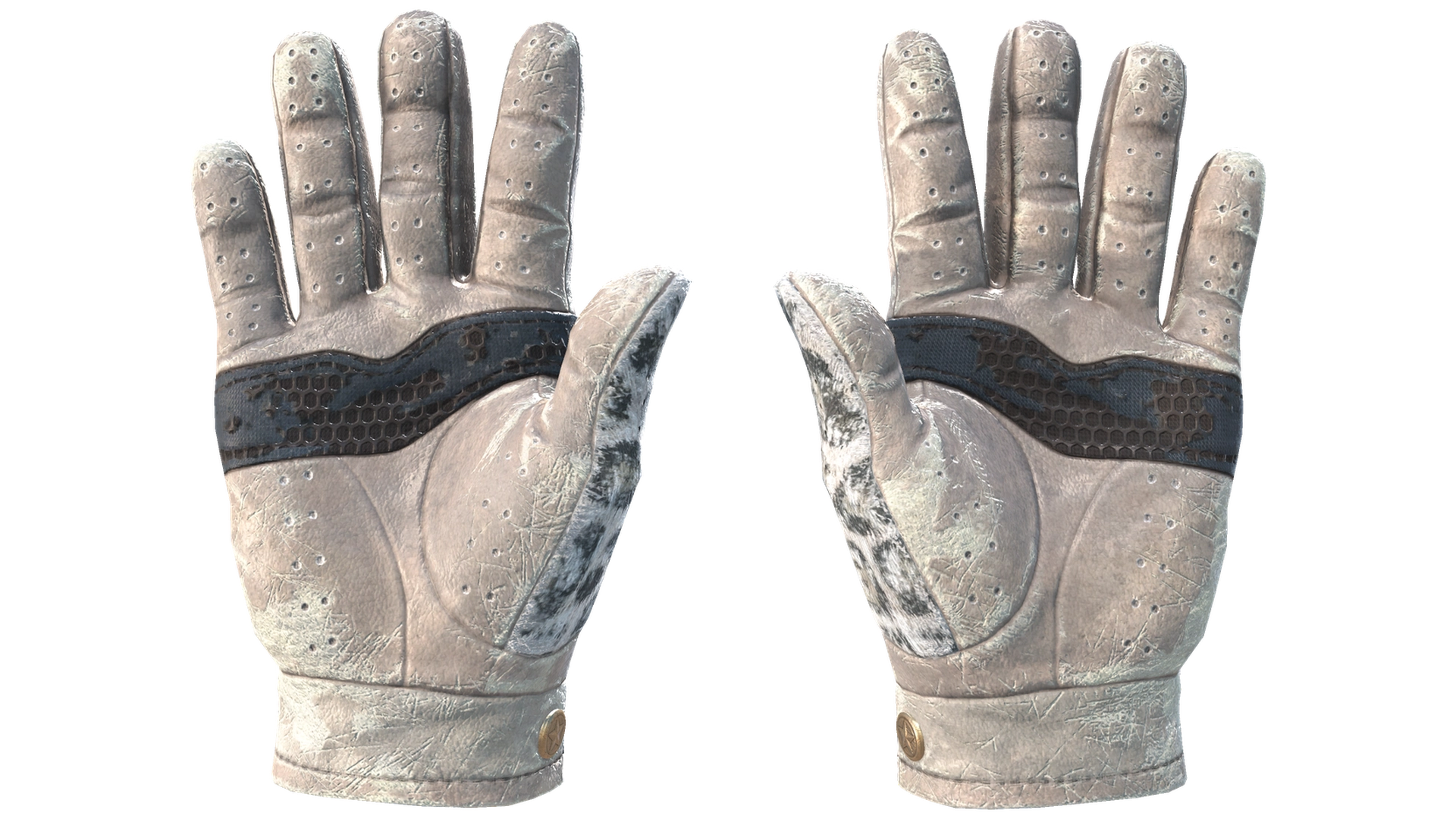 Snow Leopard image