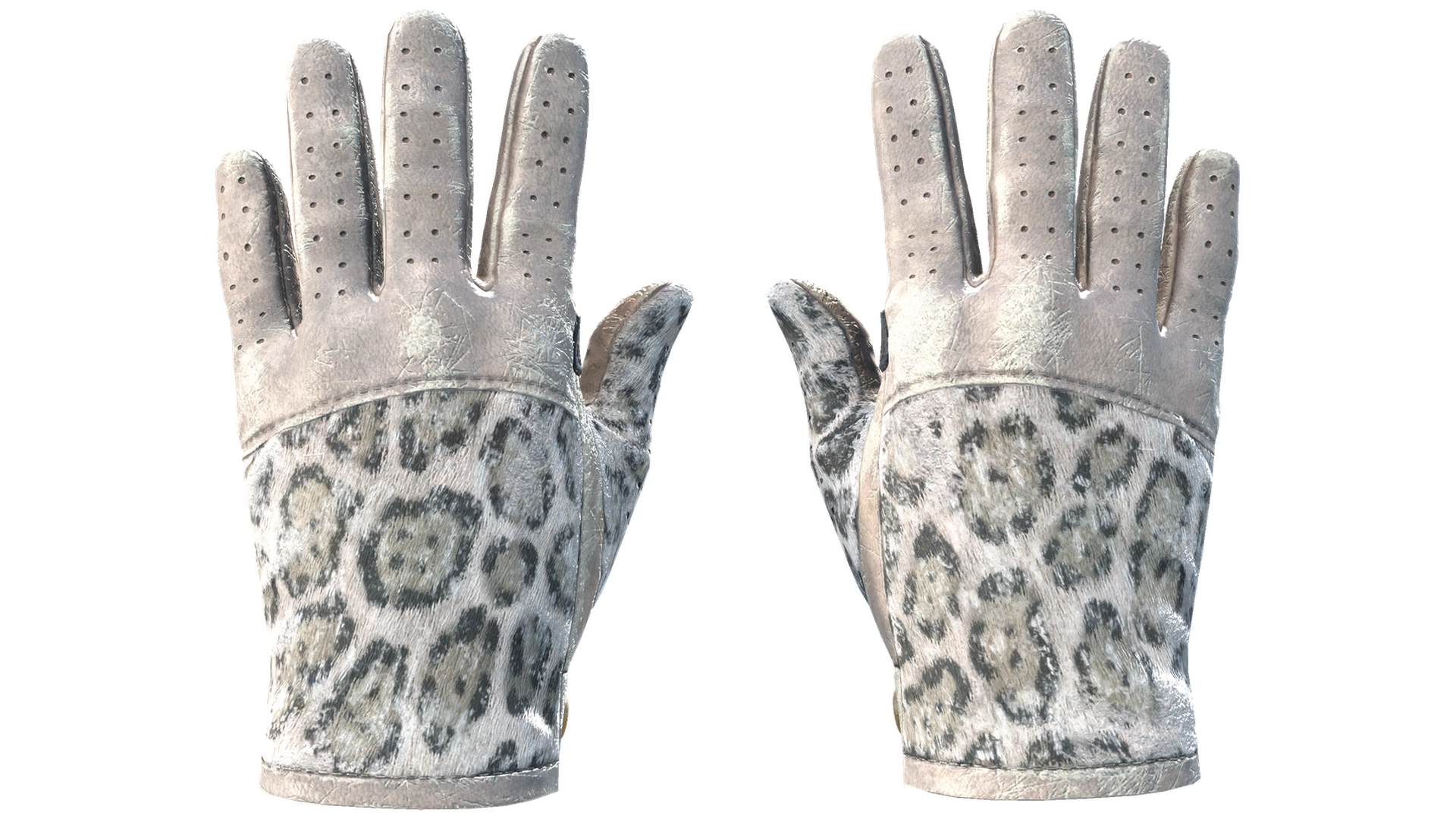 Snow Leopard image