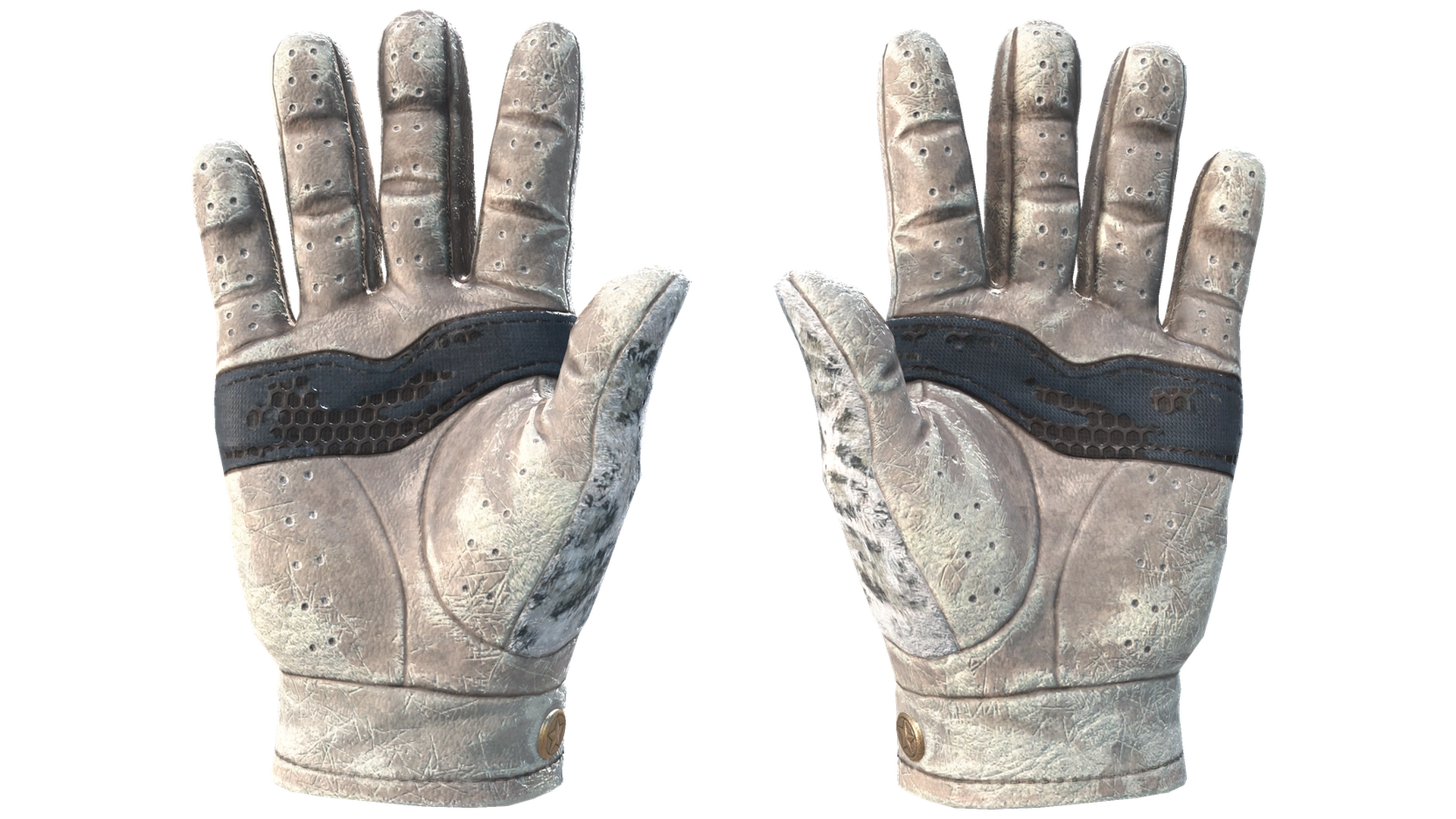 Snow Leopard image