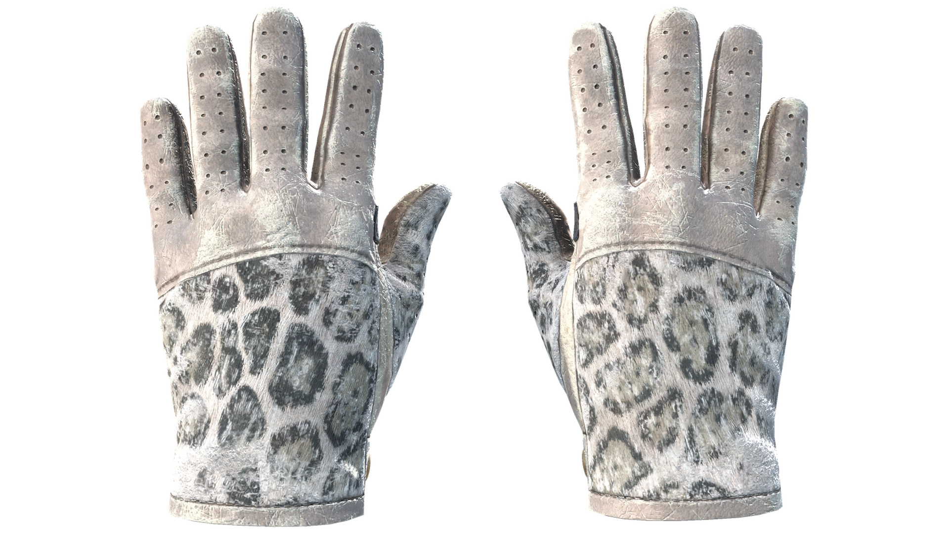 Snow Leopard image