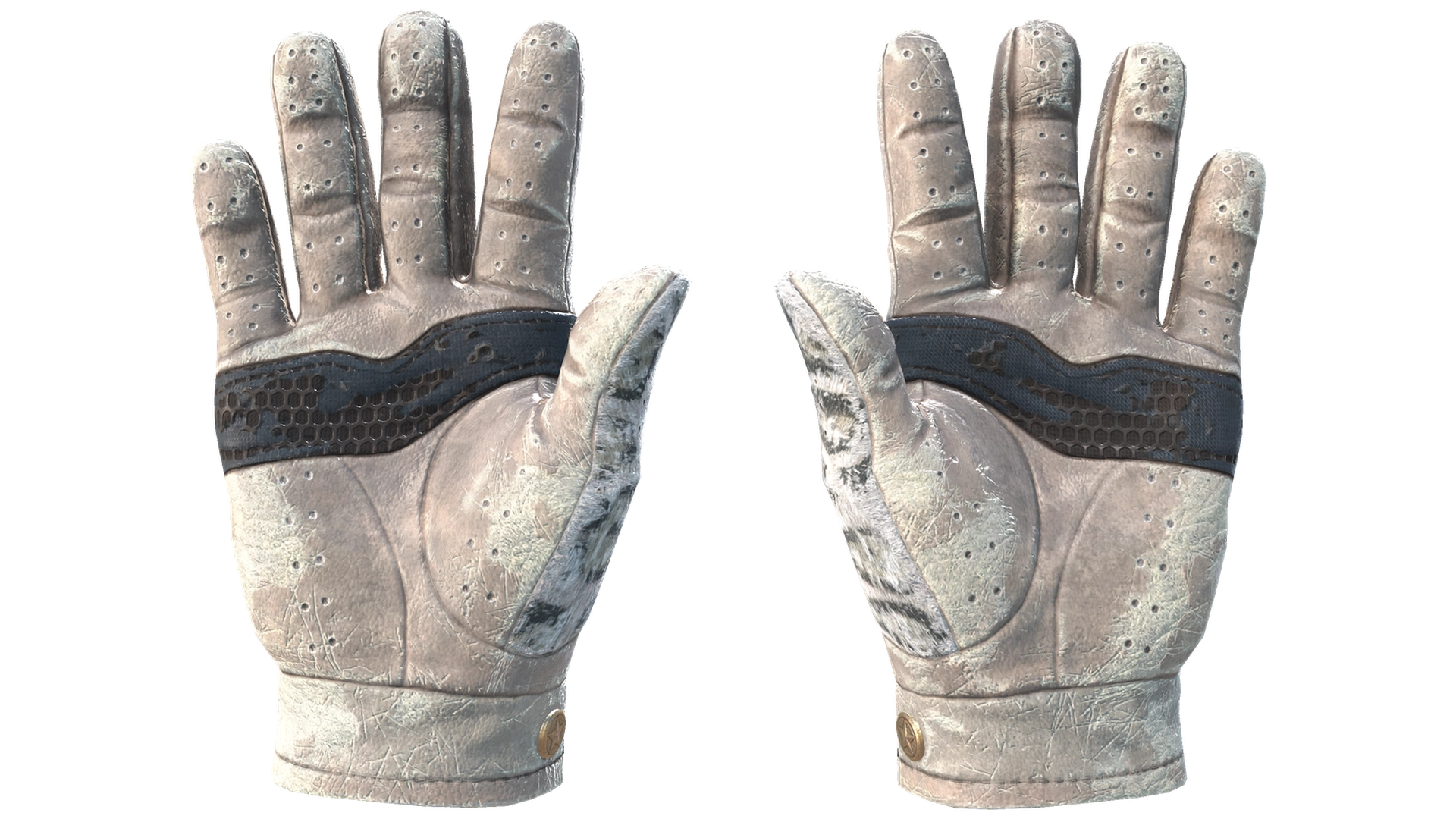 Snow Leopard image