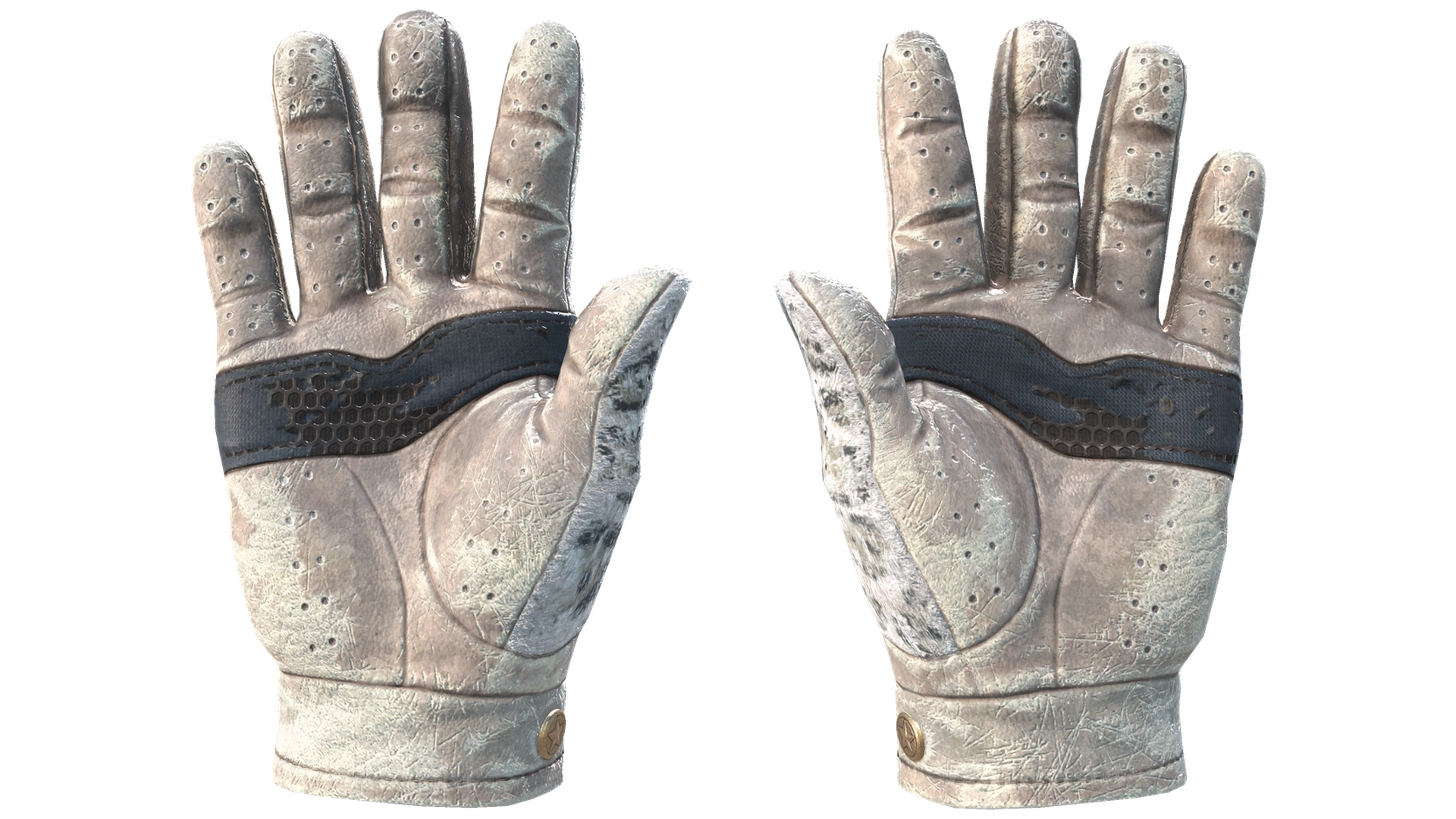 Snow Leopard image