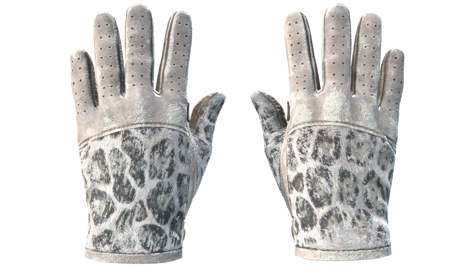 Snow Leopard image