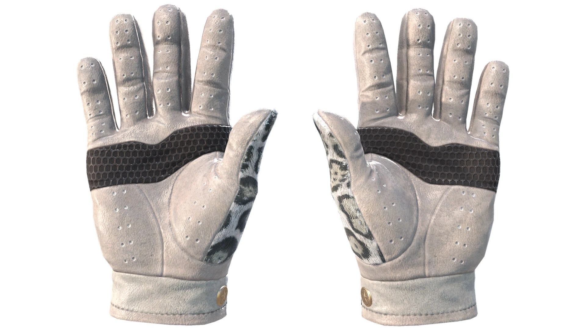 Snow Leopard image