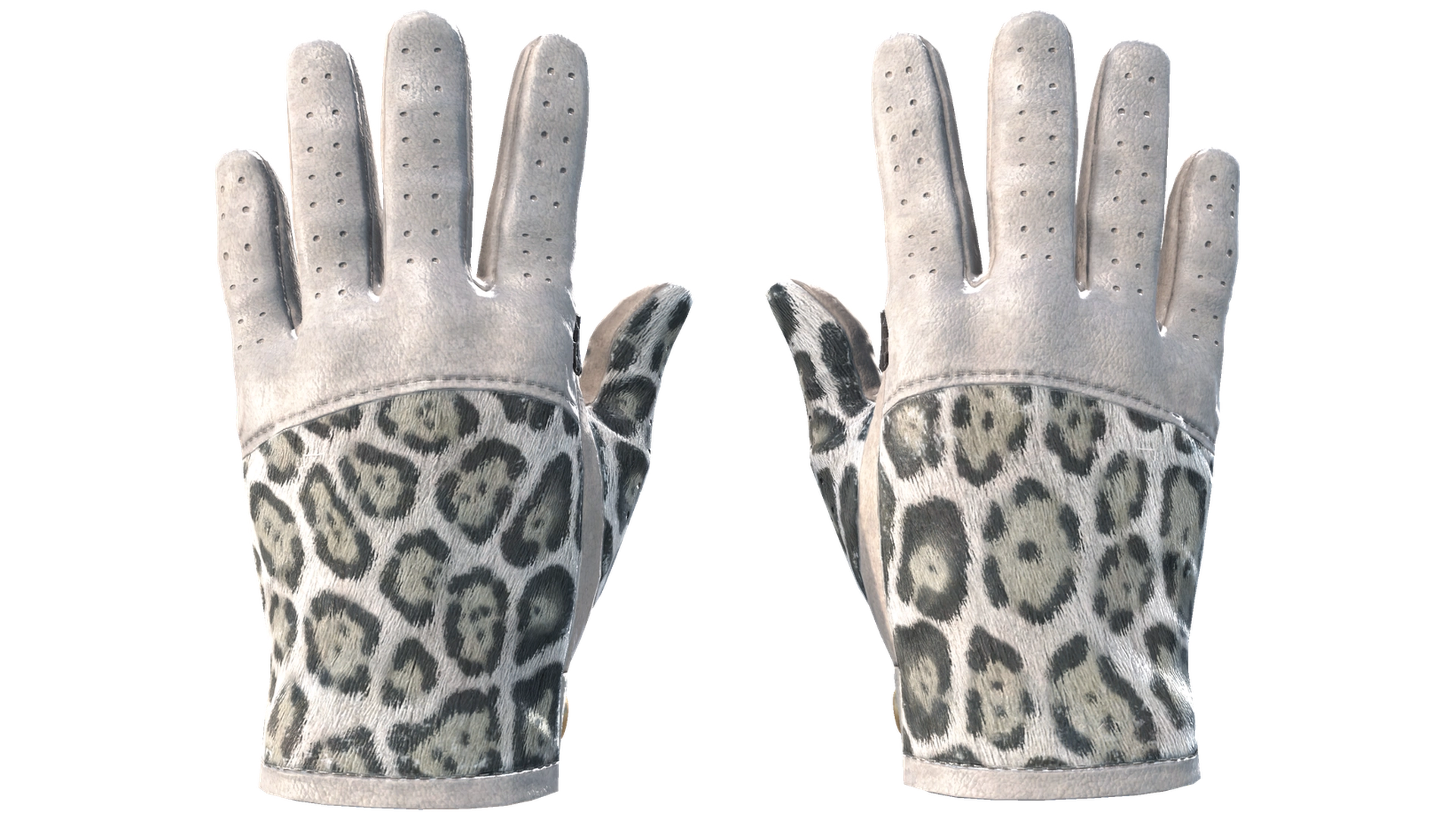 Snow Leopard image