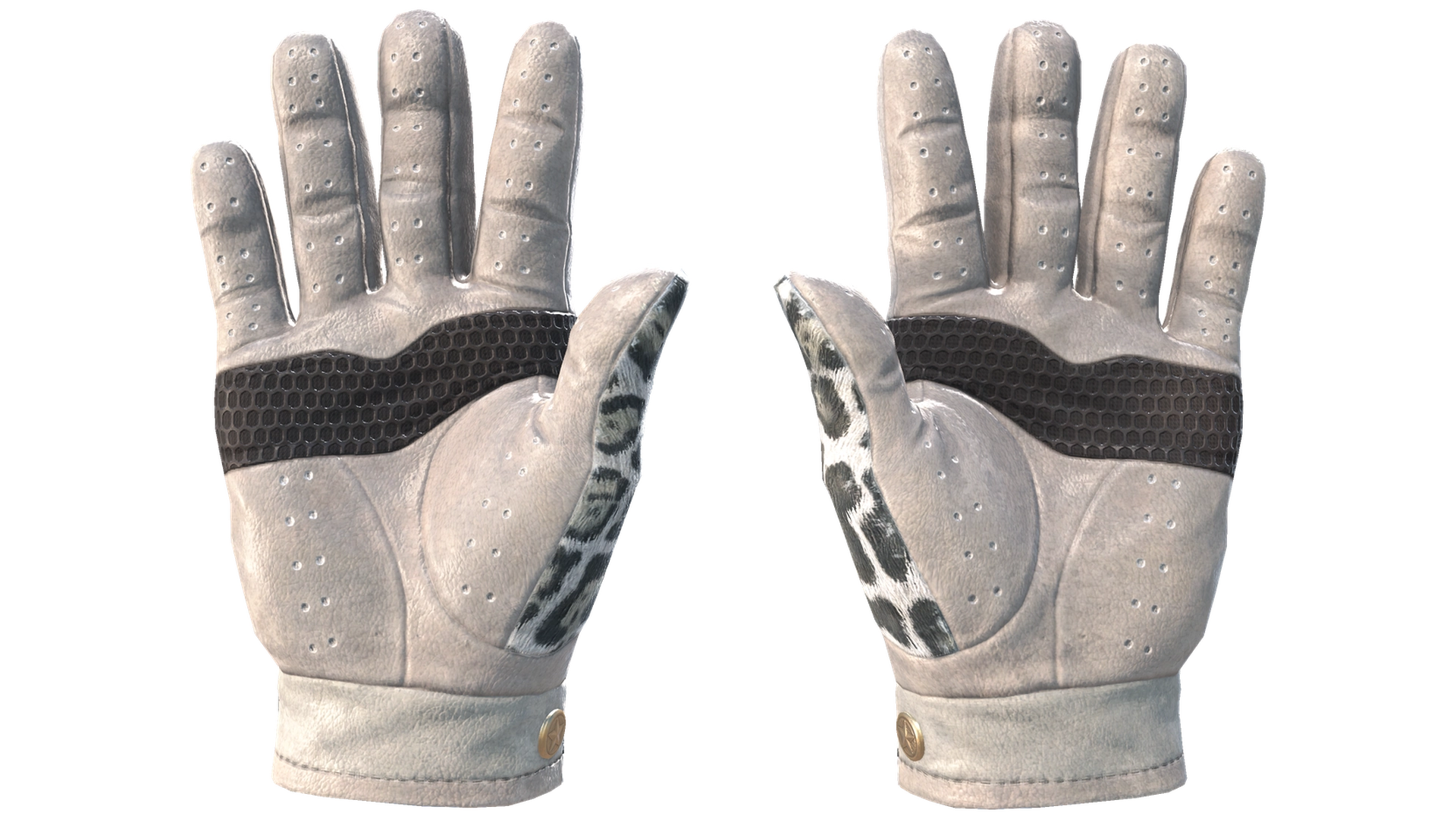 Snow Leopard image