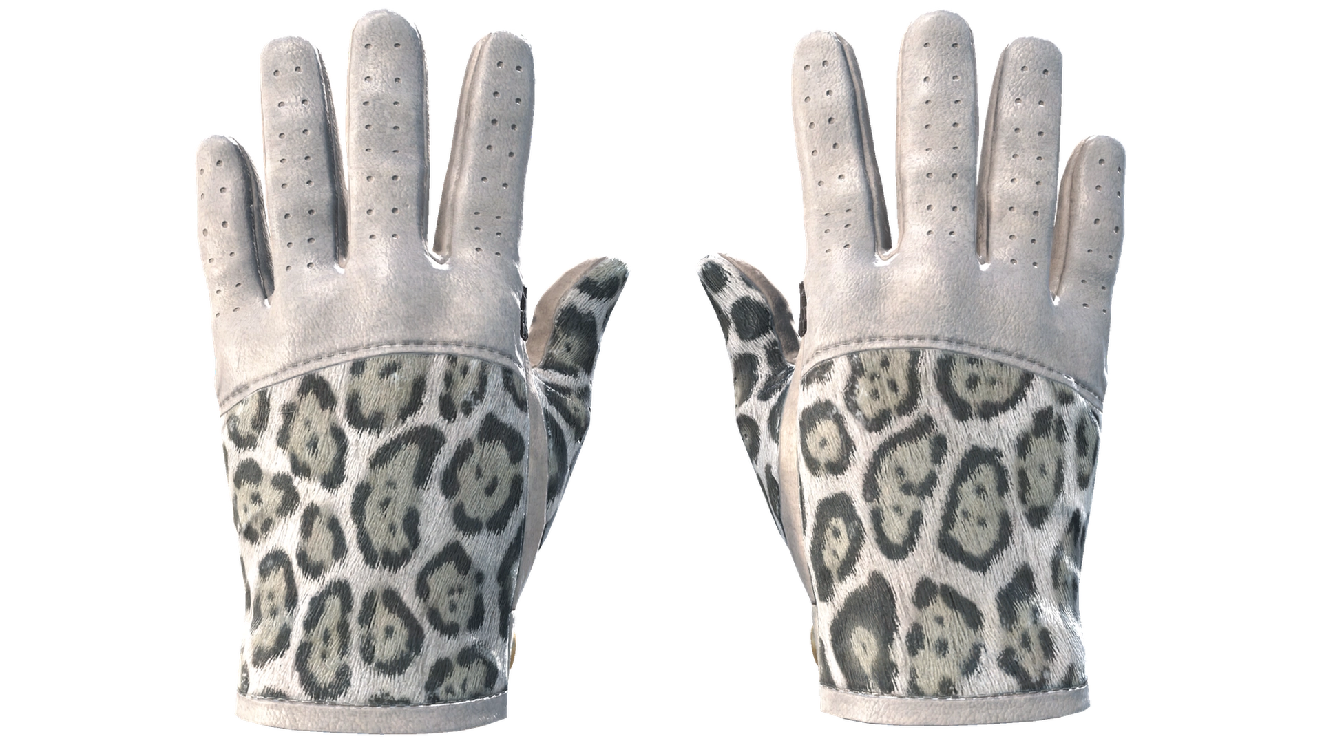 Snow Leopard image