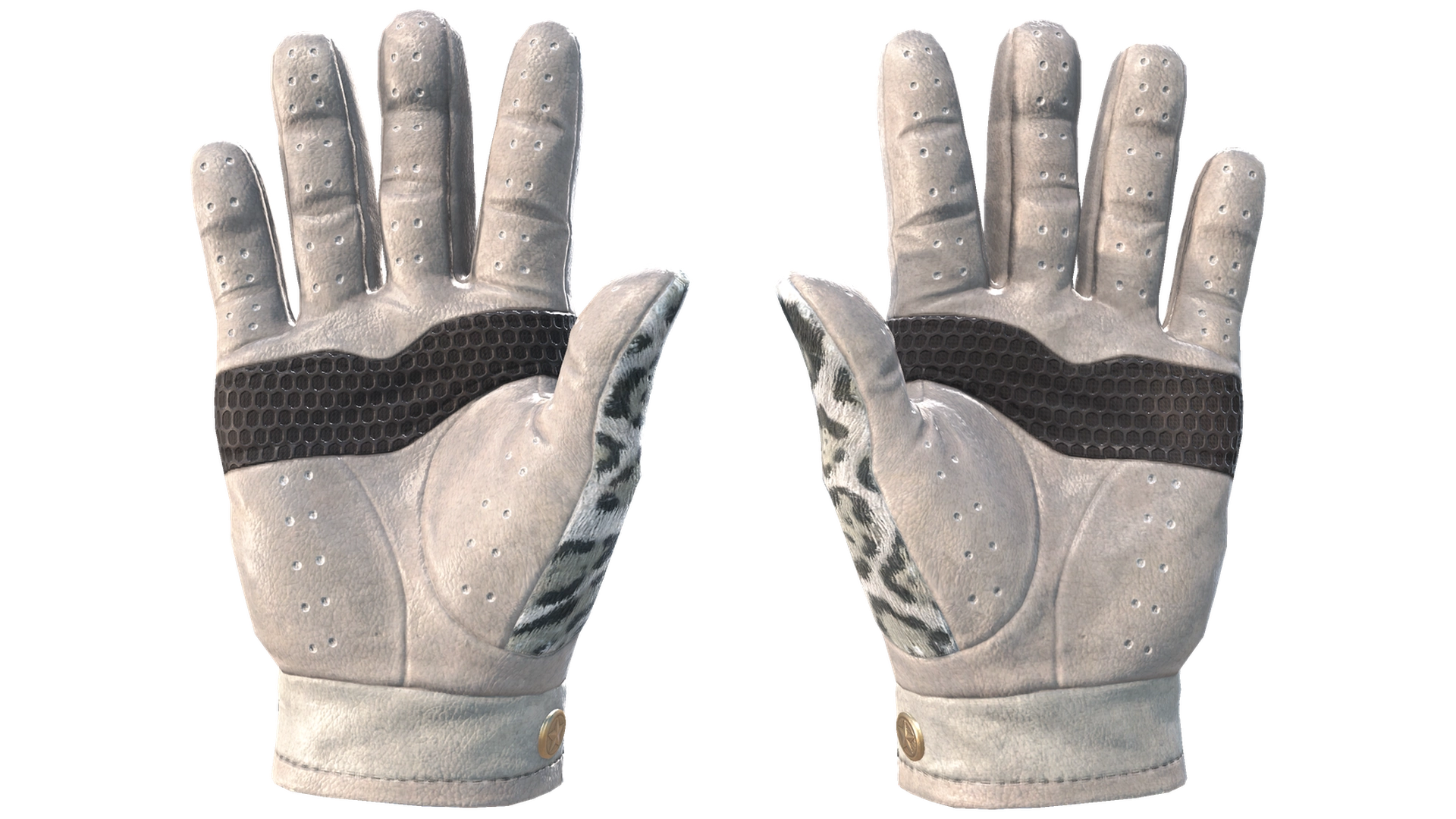 Snow Leopard image