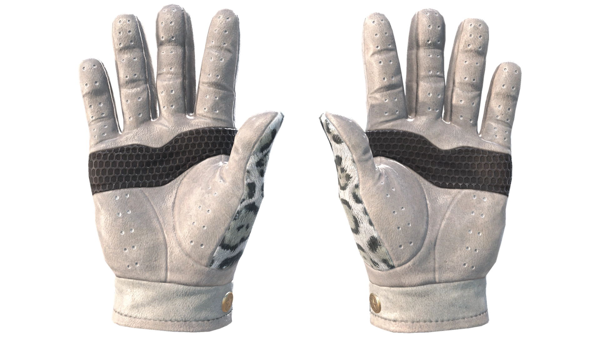Snow Leopard image