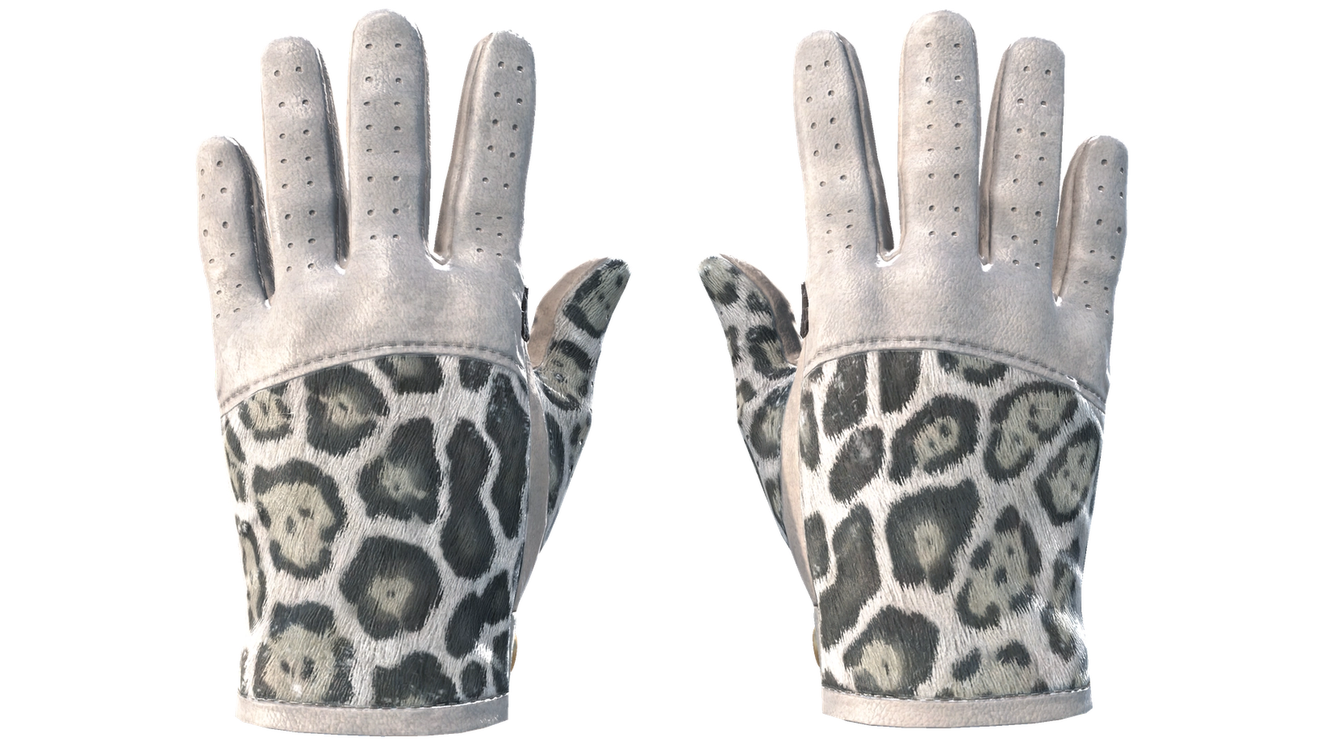 Snow Leopard image
