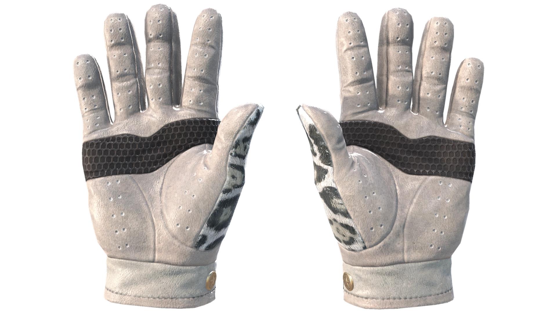 Snow Leopard image