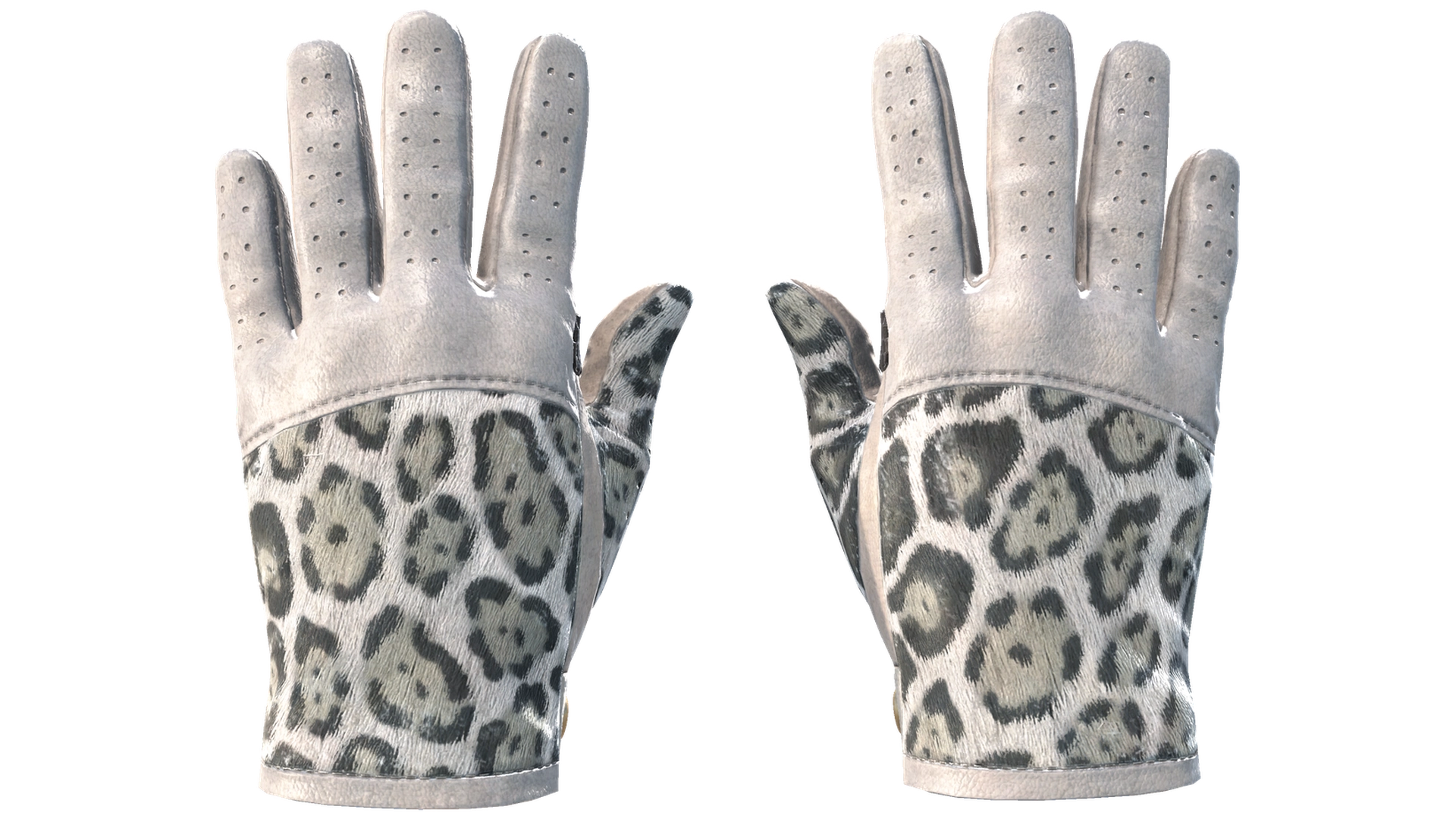 Snow Leopard image