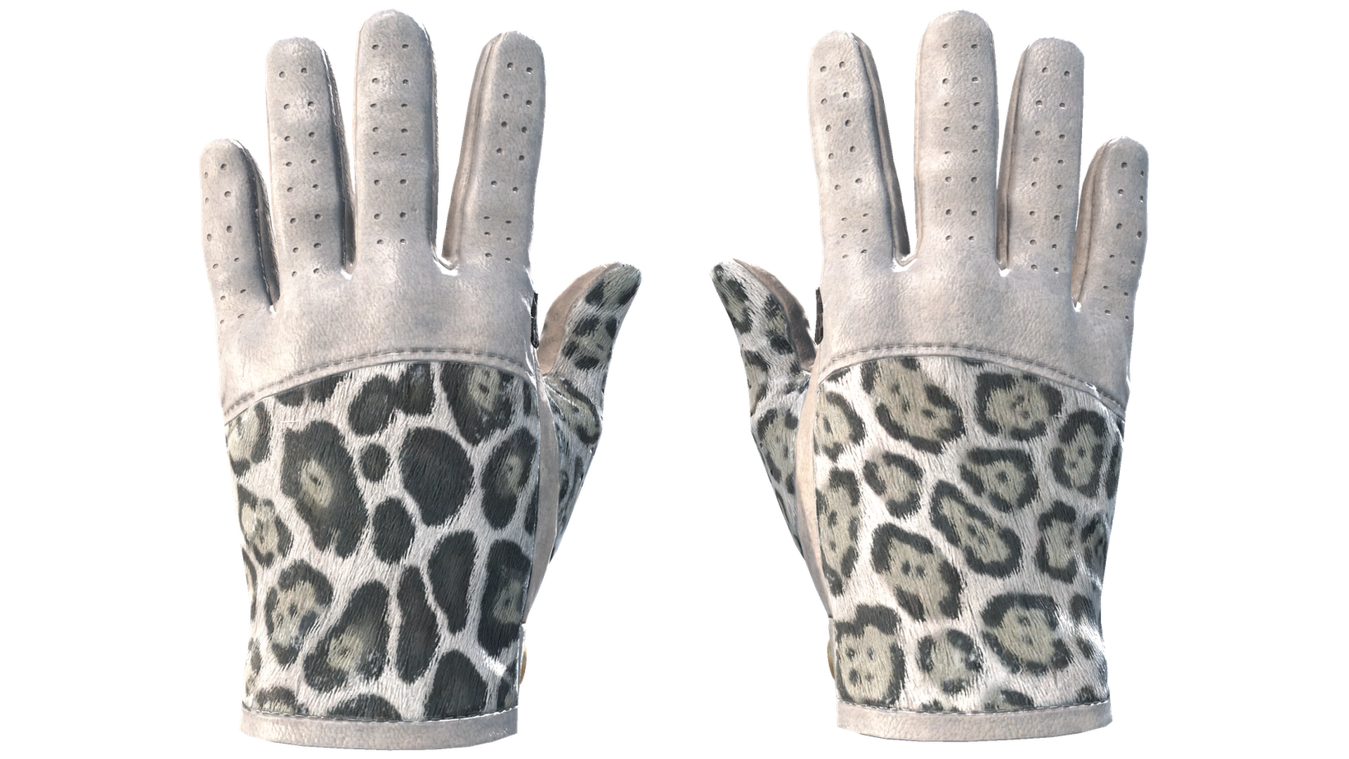 Snow Leopard image