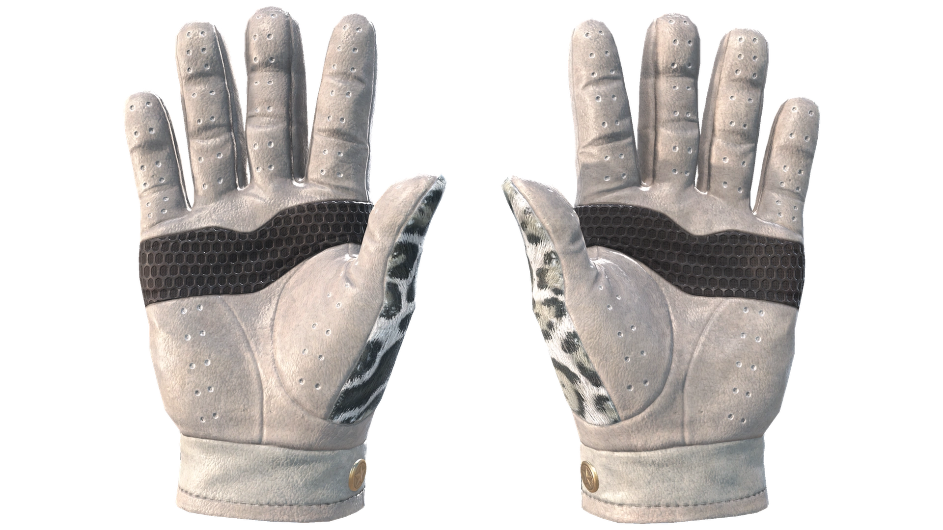 Snow Leopard image
