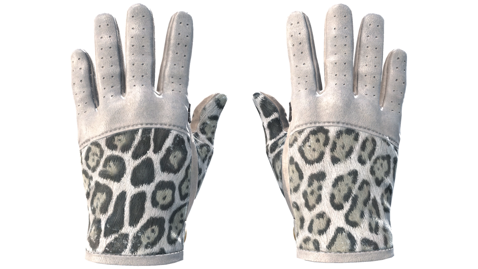 Snow Leopard image