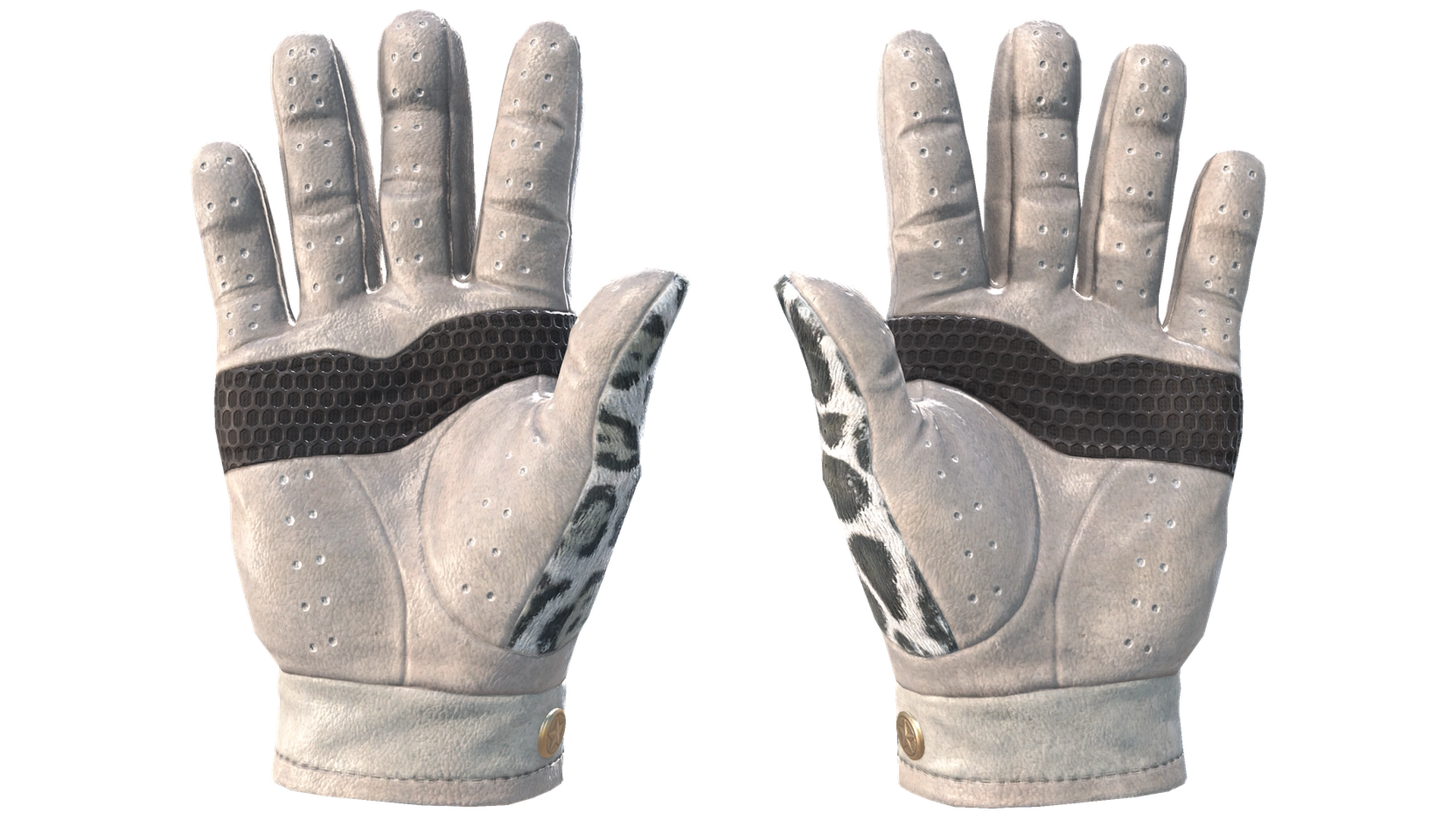 Snow Leopard image